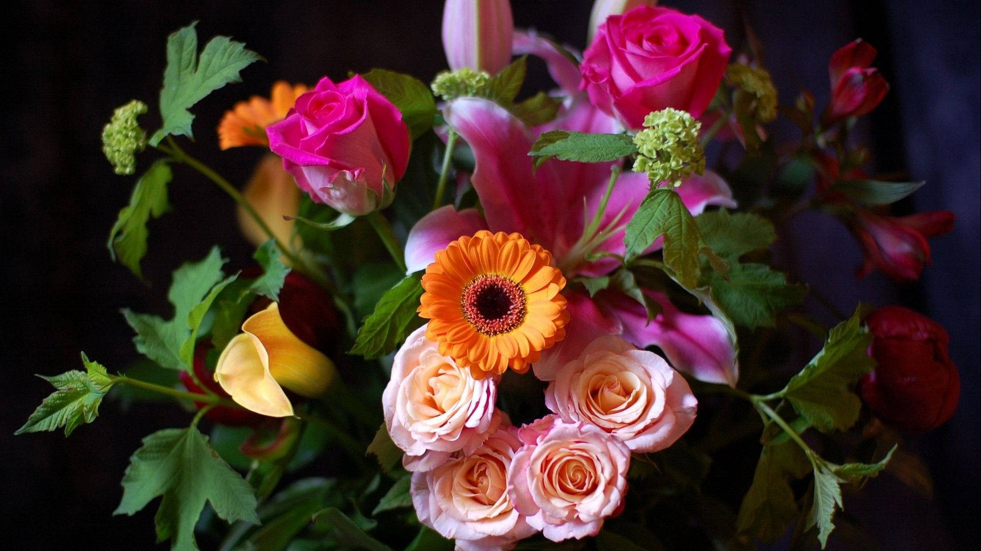 Sunflower And Roses Still Life Flower Model Background