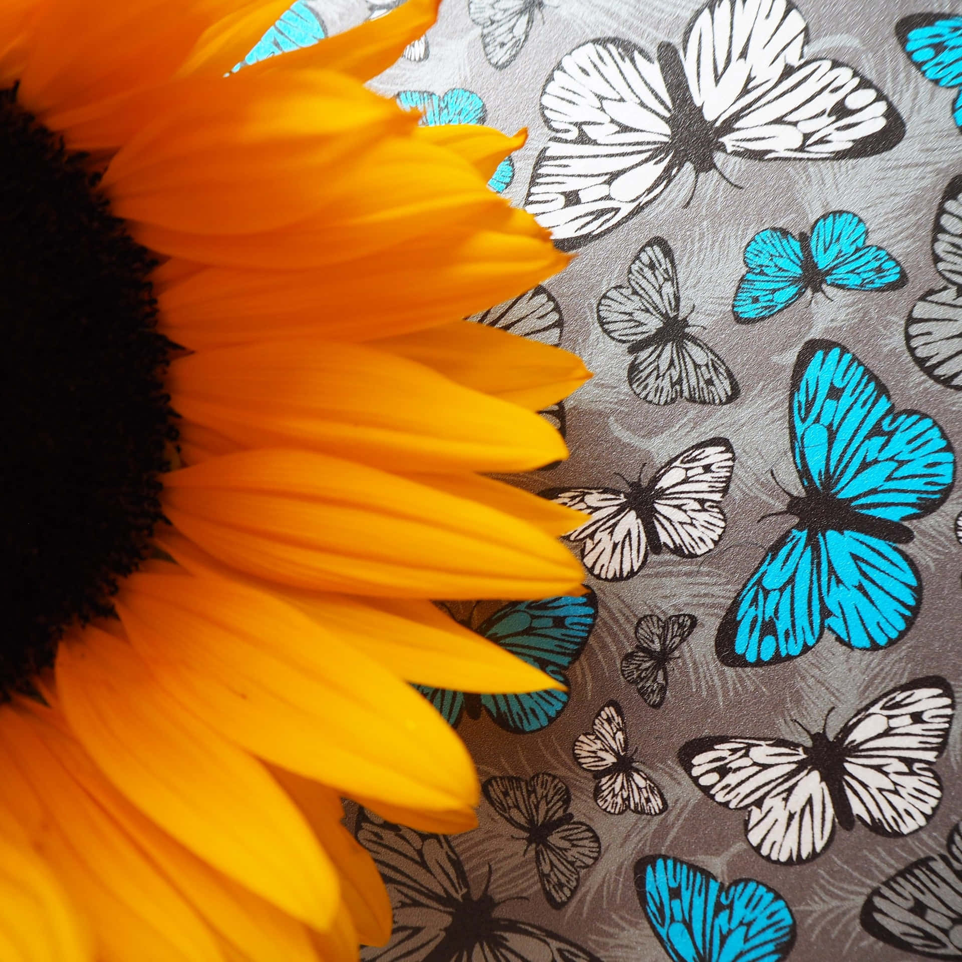 Sunflower Butterfly Pattern Contrast.jpg Background