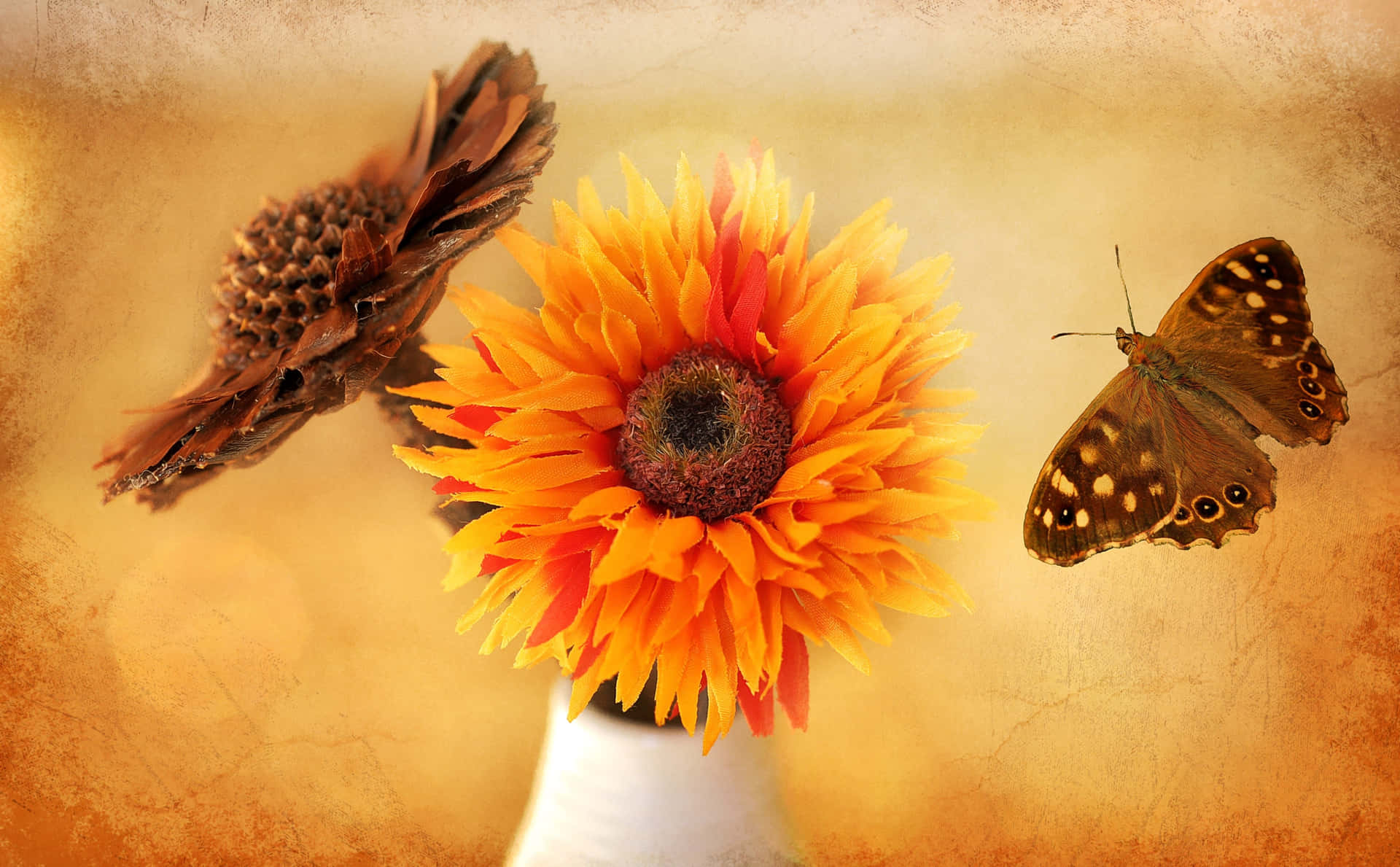 Sunflower Butterfly Pinecone Artwork Background