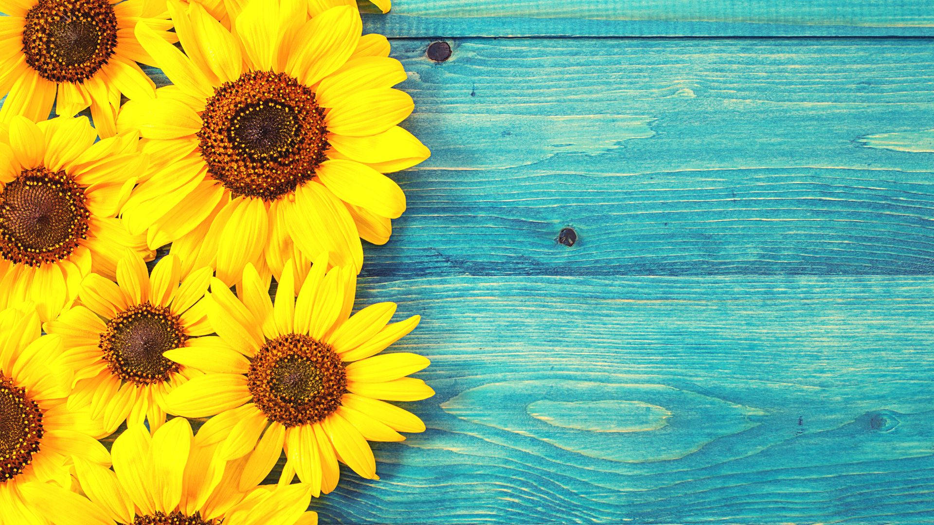 Sunflower Desktop Wooden Background Background