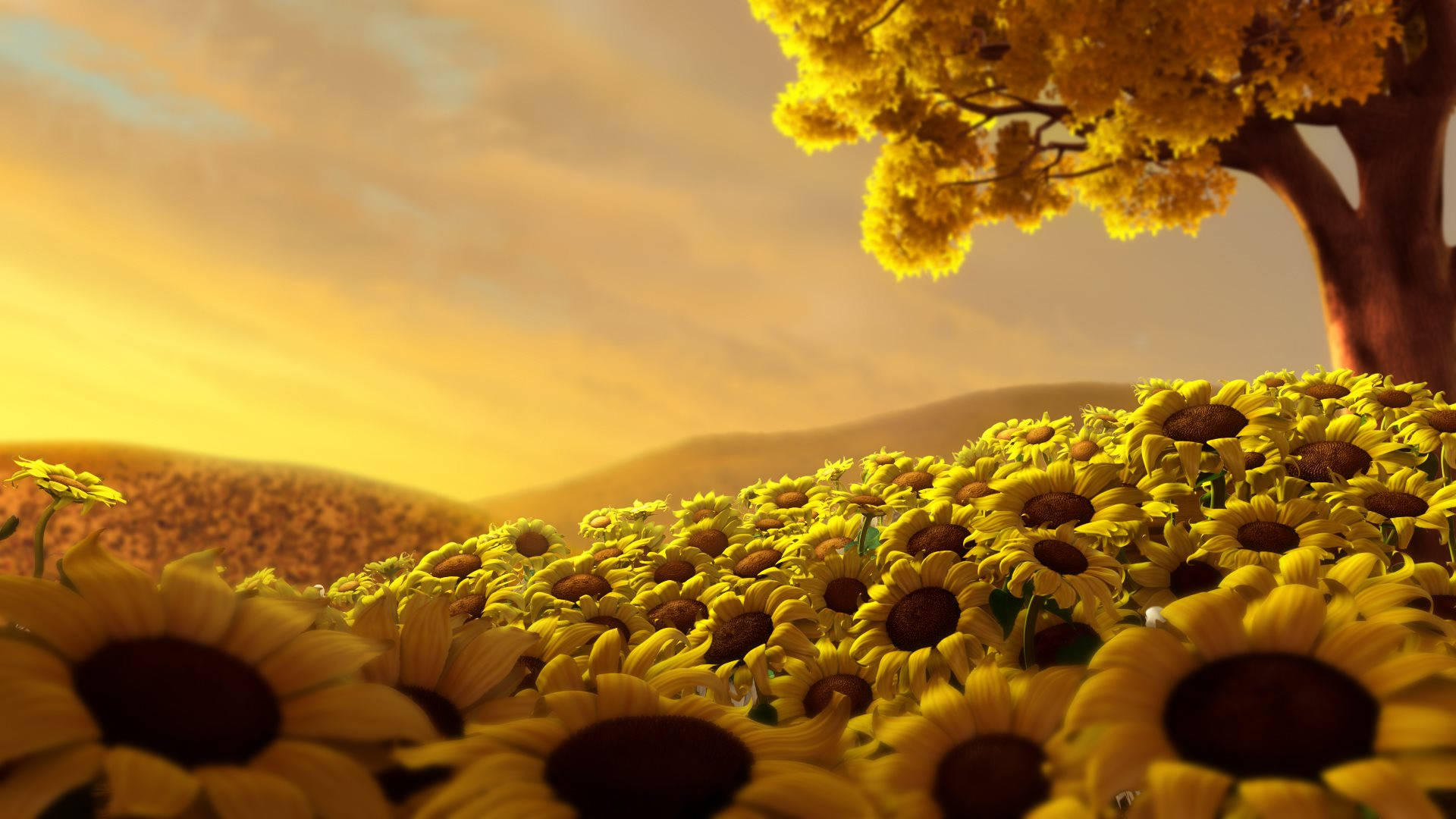 Sunflower Field And A Tree Background