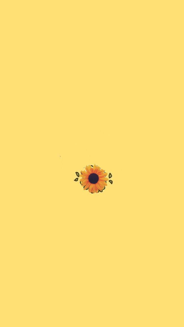 Sunflower Image In Cute Yellow Background