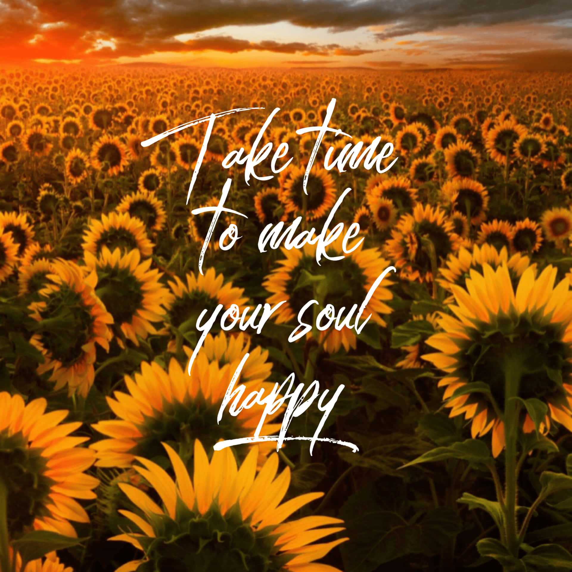 Sunflower Self-healing Quotes Background