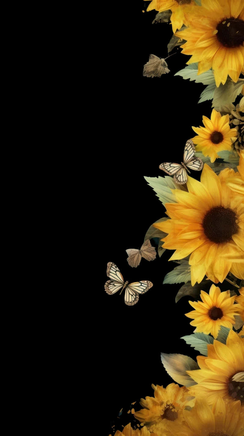 Sunflowers And Butterflies Border Background