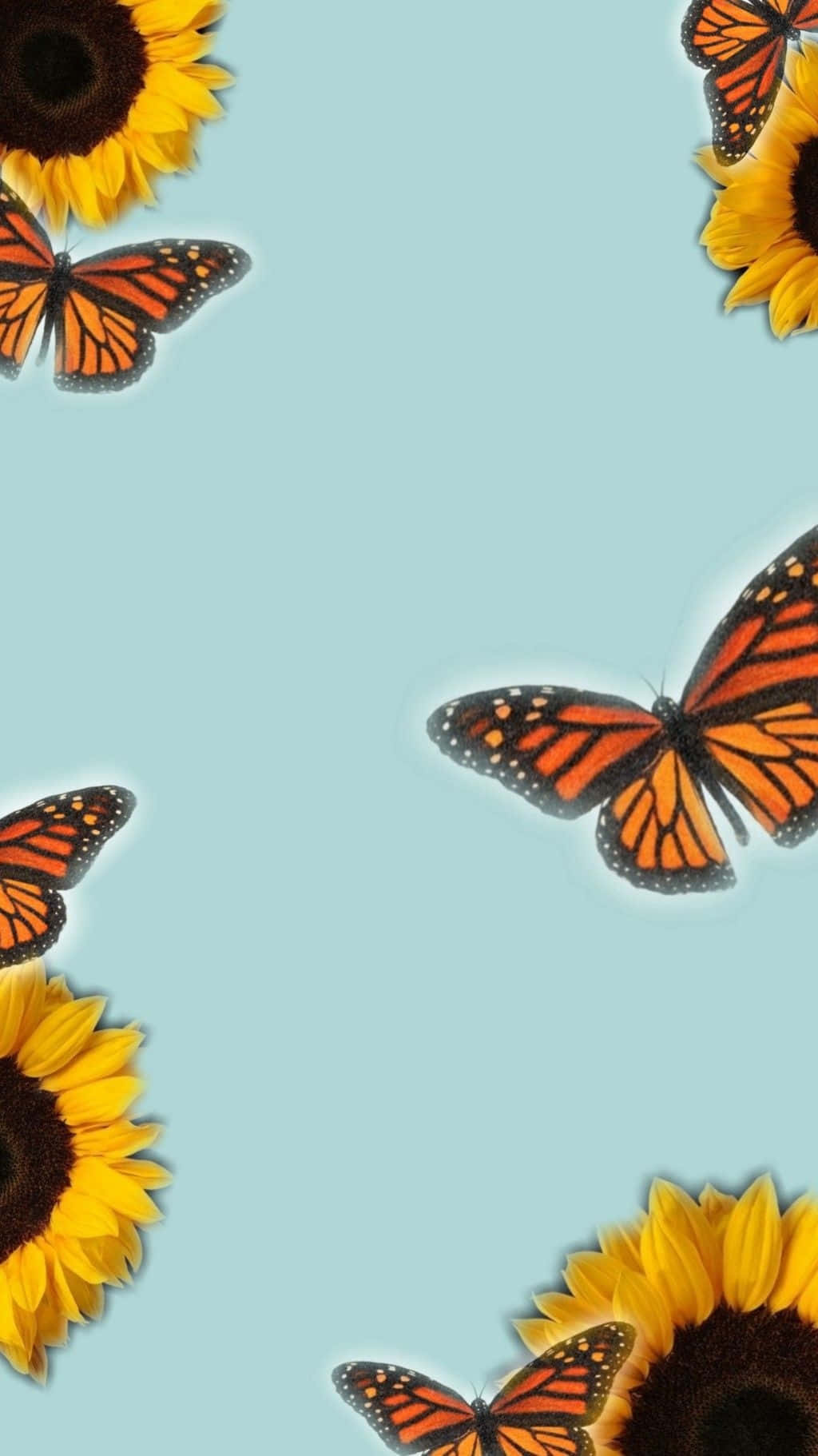 Sunflowers_and_ Monarch_ Butterflies_ Pattern Background