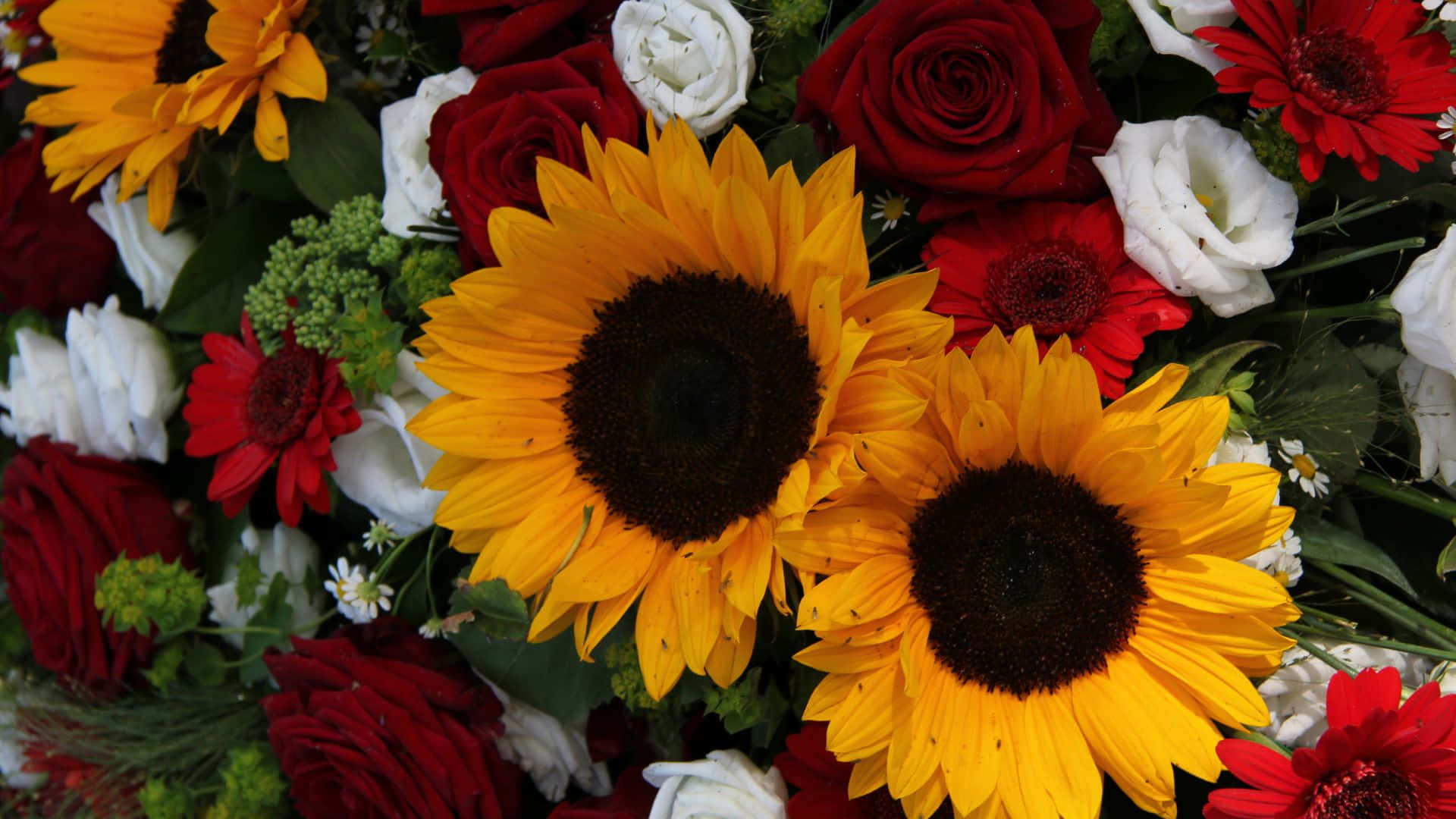 Sunflowers And Red And White Roses Background