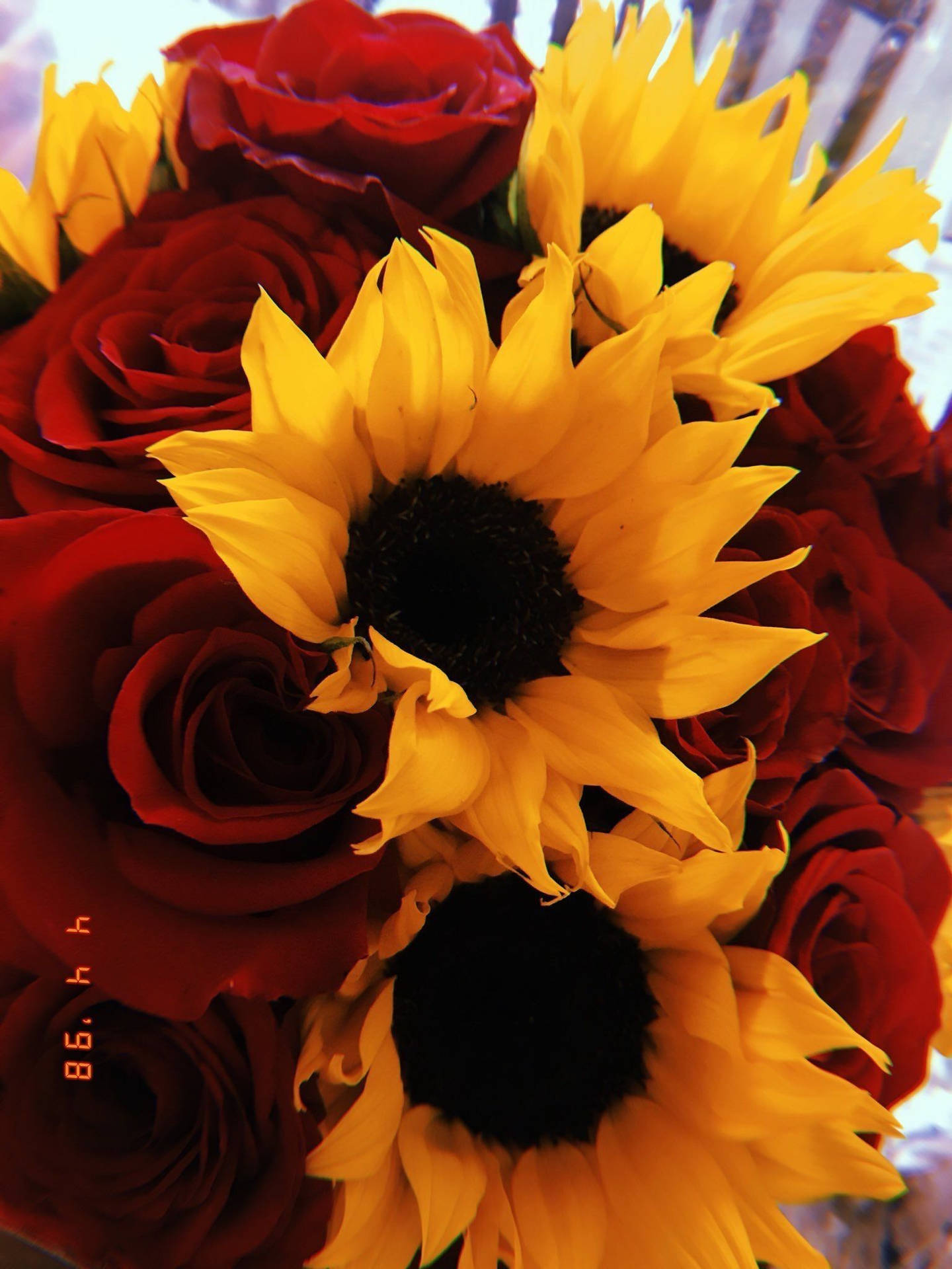 Sunflowers And Roses Gift Bouquet Background