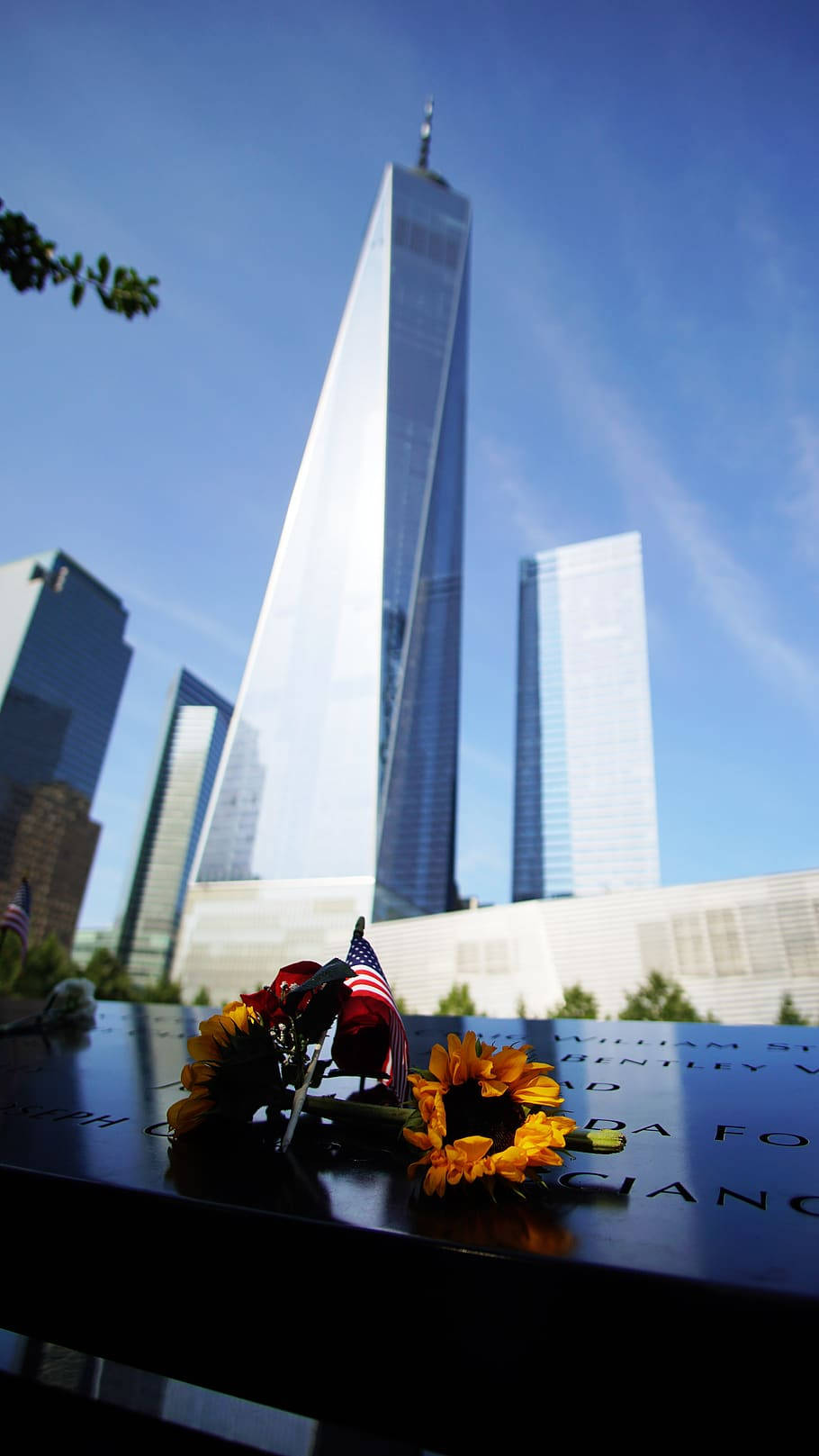 Sunflowers At 911 Memorial