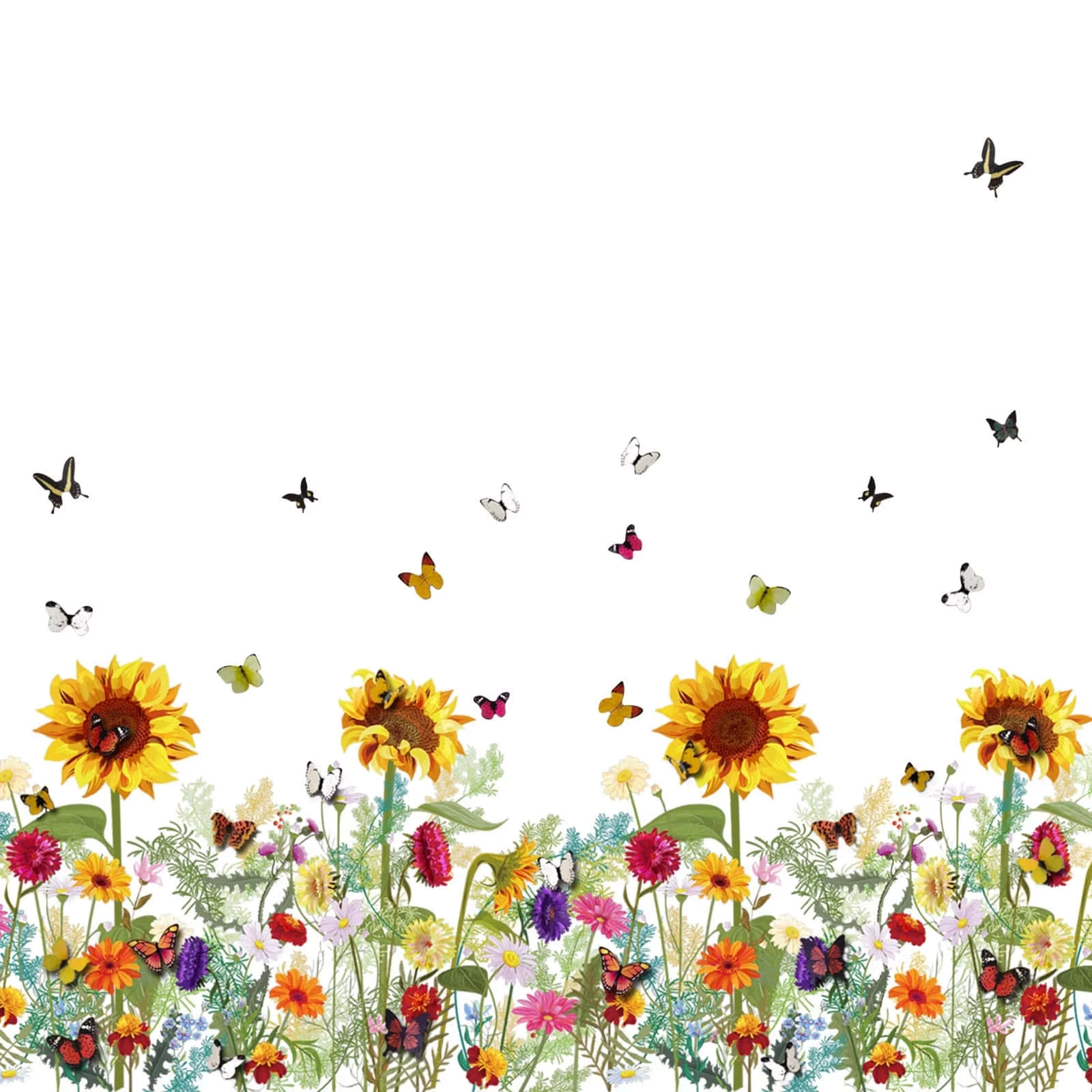 Sunflowers_ Butterflies_ Garden_ Scene Background