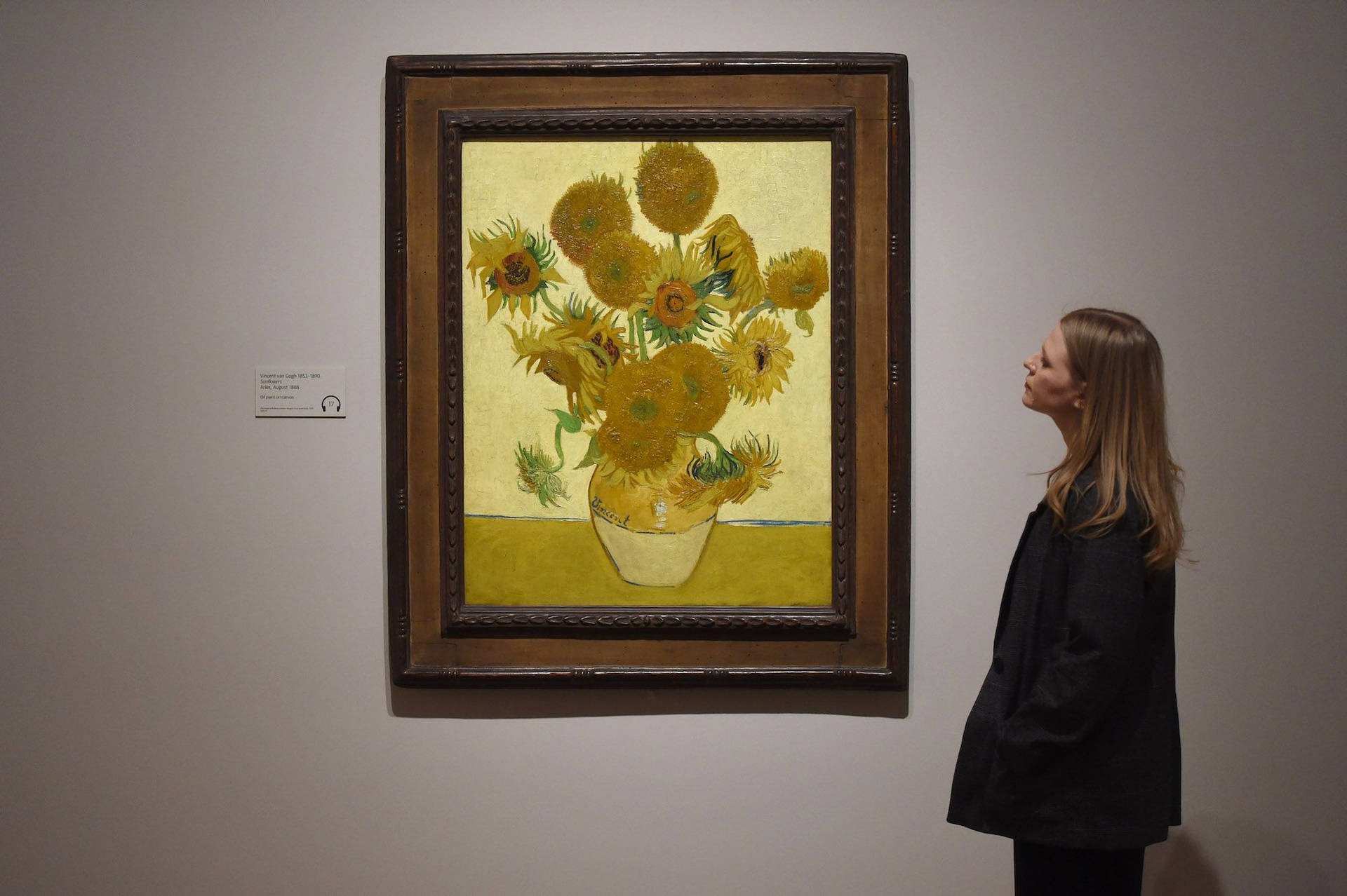 Sunflowers Painting Van Gogh Museum Background