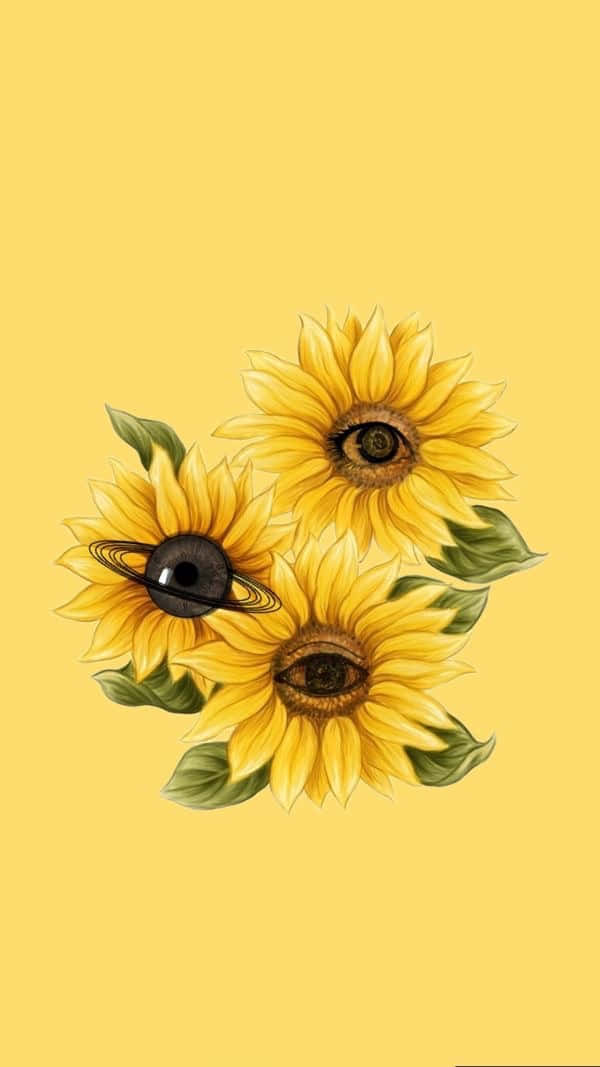 Sunflowers With Black Eyes On A Yellow Background Background