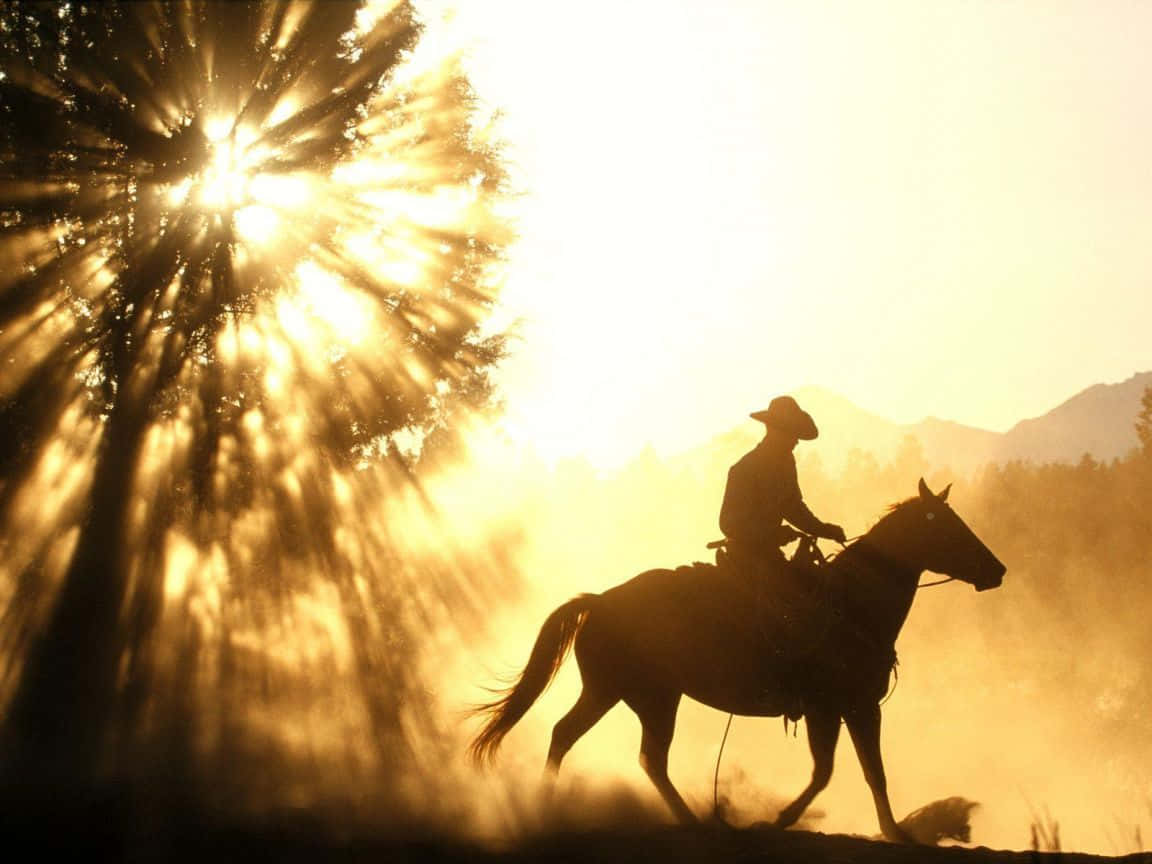 Sunlight And Silhouette Of Western Cowboy Desktop Background