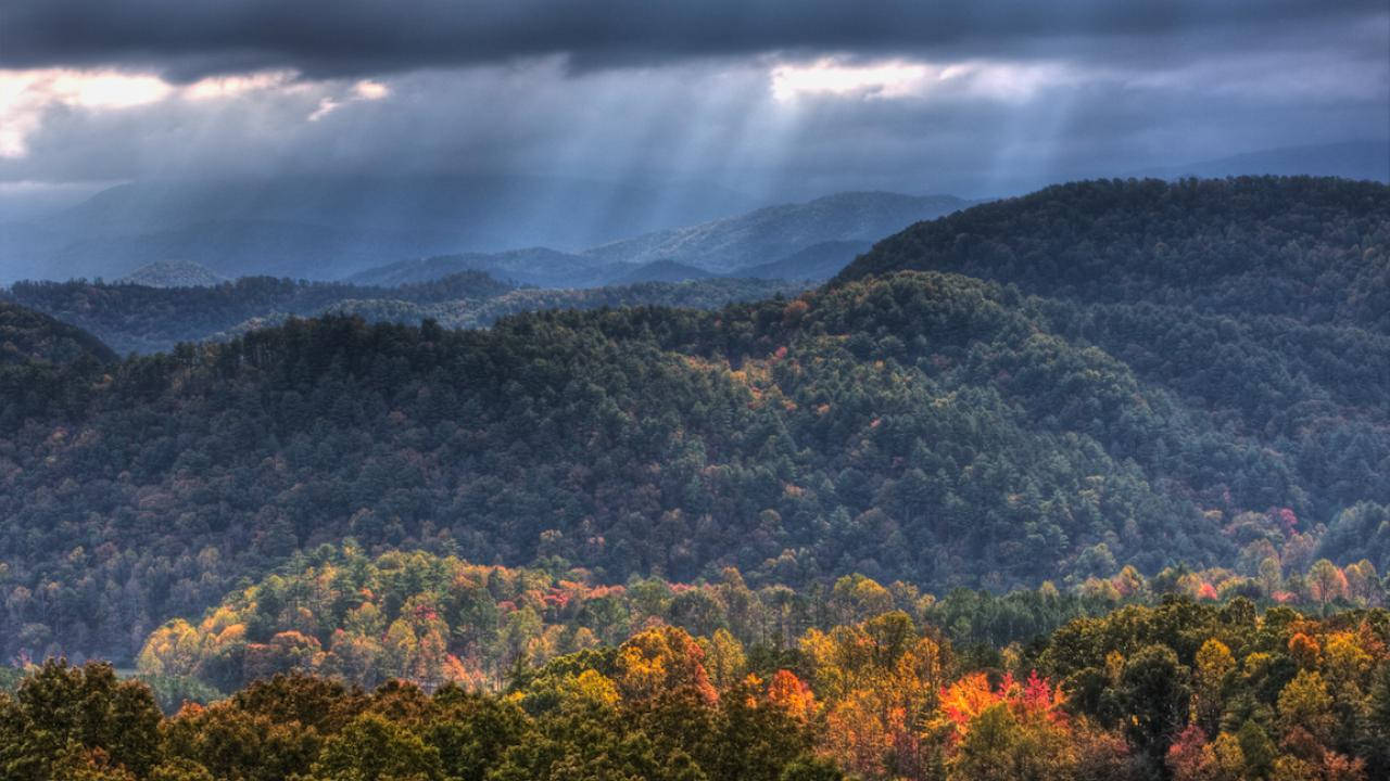 Sunlight Filtering Down Smoky Mountains Background