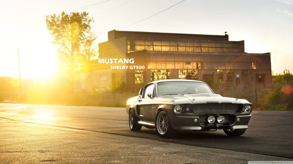 Sunlight Over Shelby Gt500 Mustang Hd Background