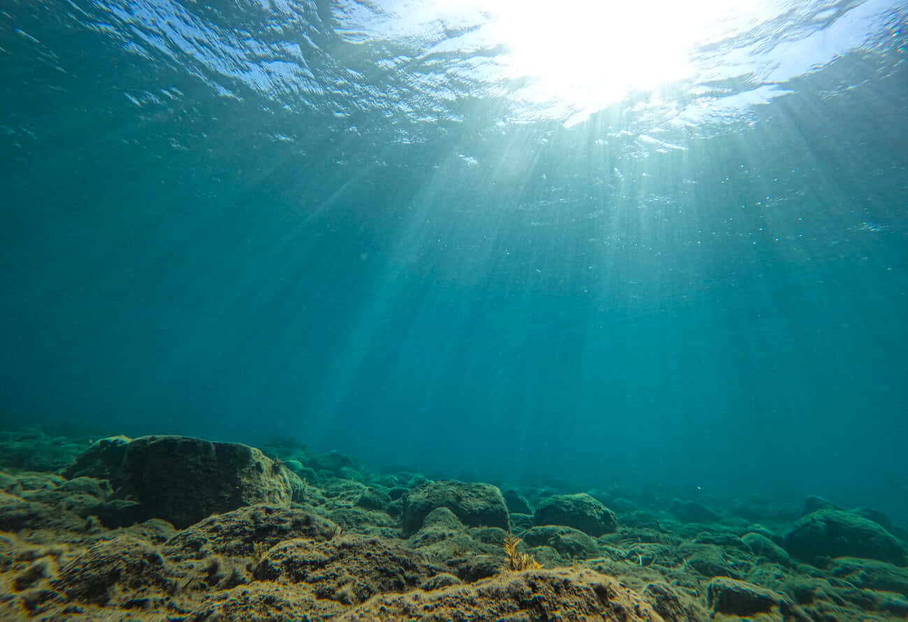 Sunlit_ Ocean_ Depths.jpg Background