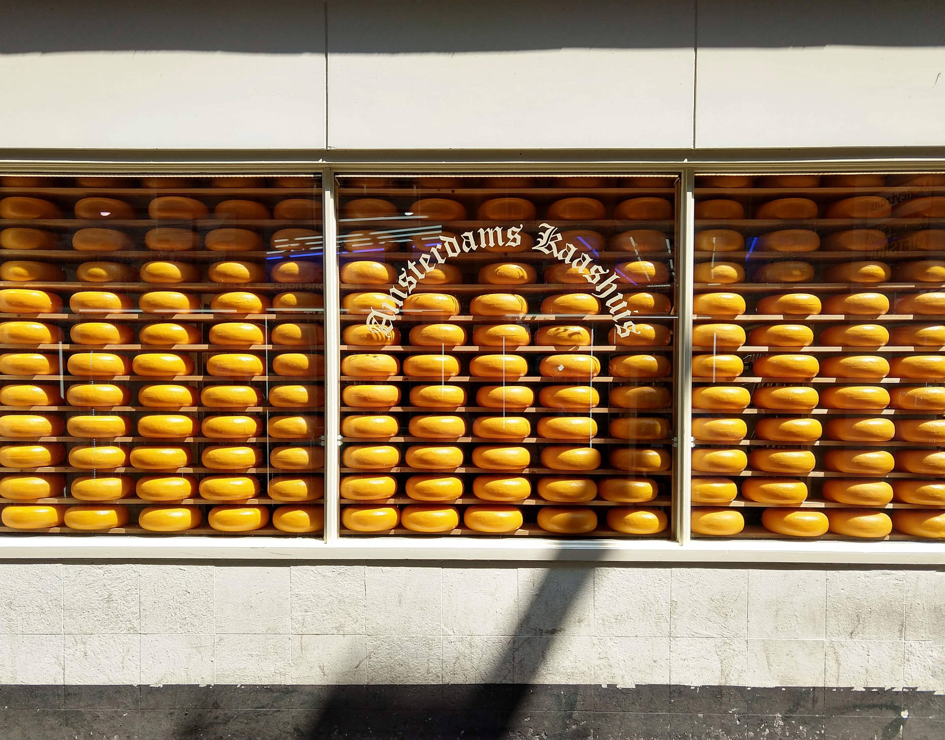 Sunny Cheese Store Window Background