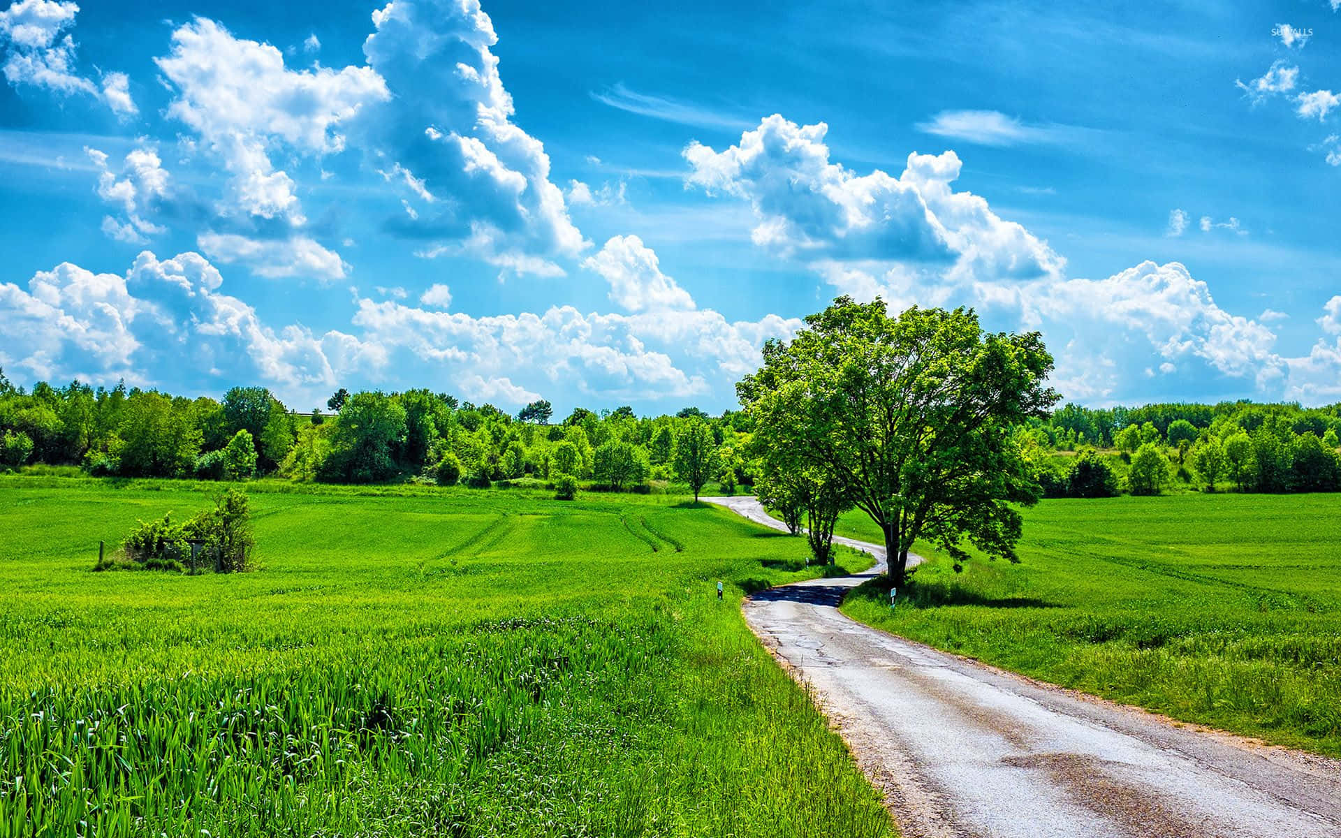 Sunny Country Road Landscape Background