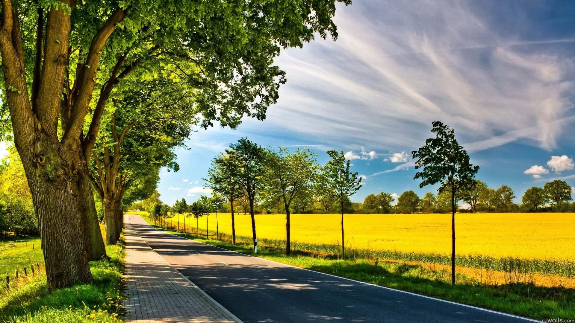 Sunny Countryside Road Background