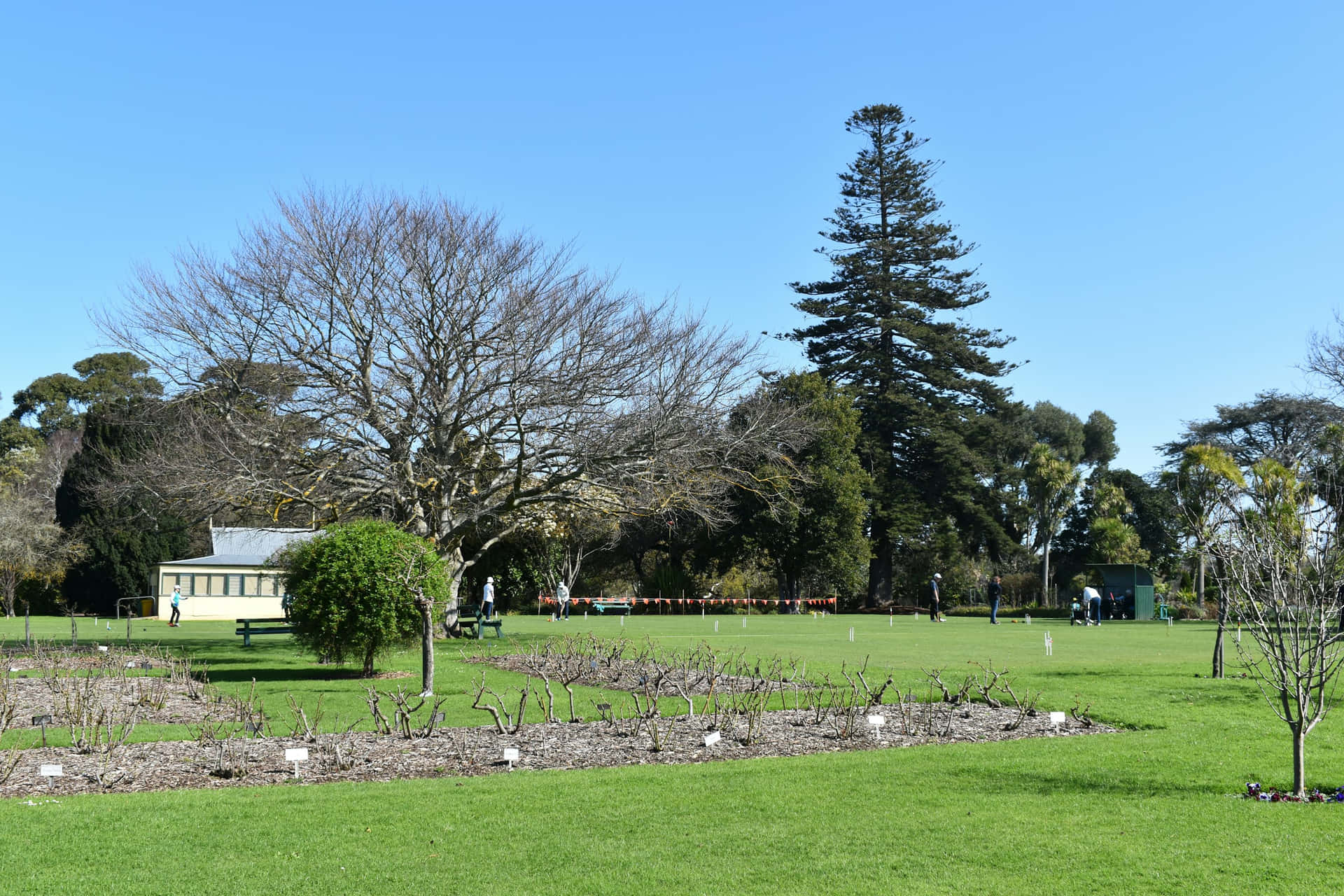 Sunny Day Croquet Game Park Scene Background