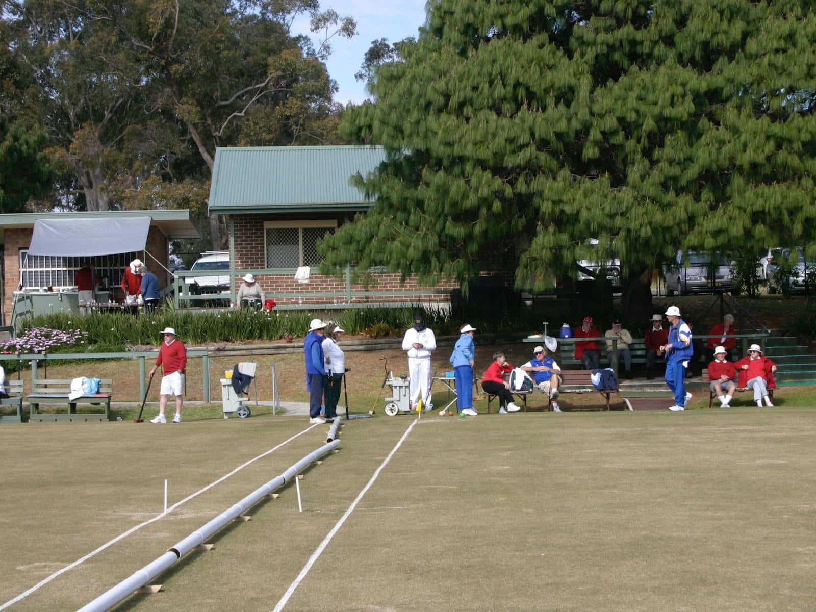 Sunny Day Croquet Match.jpg Background