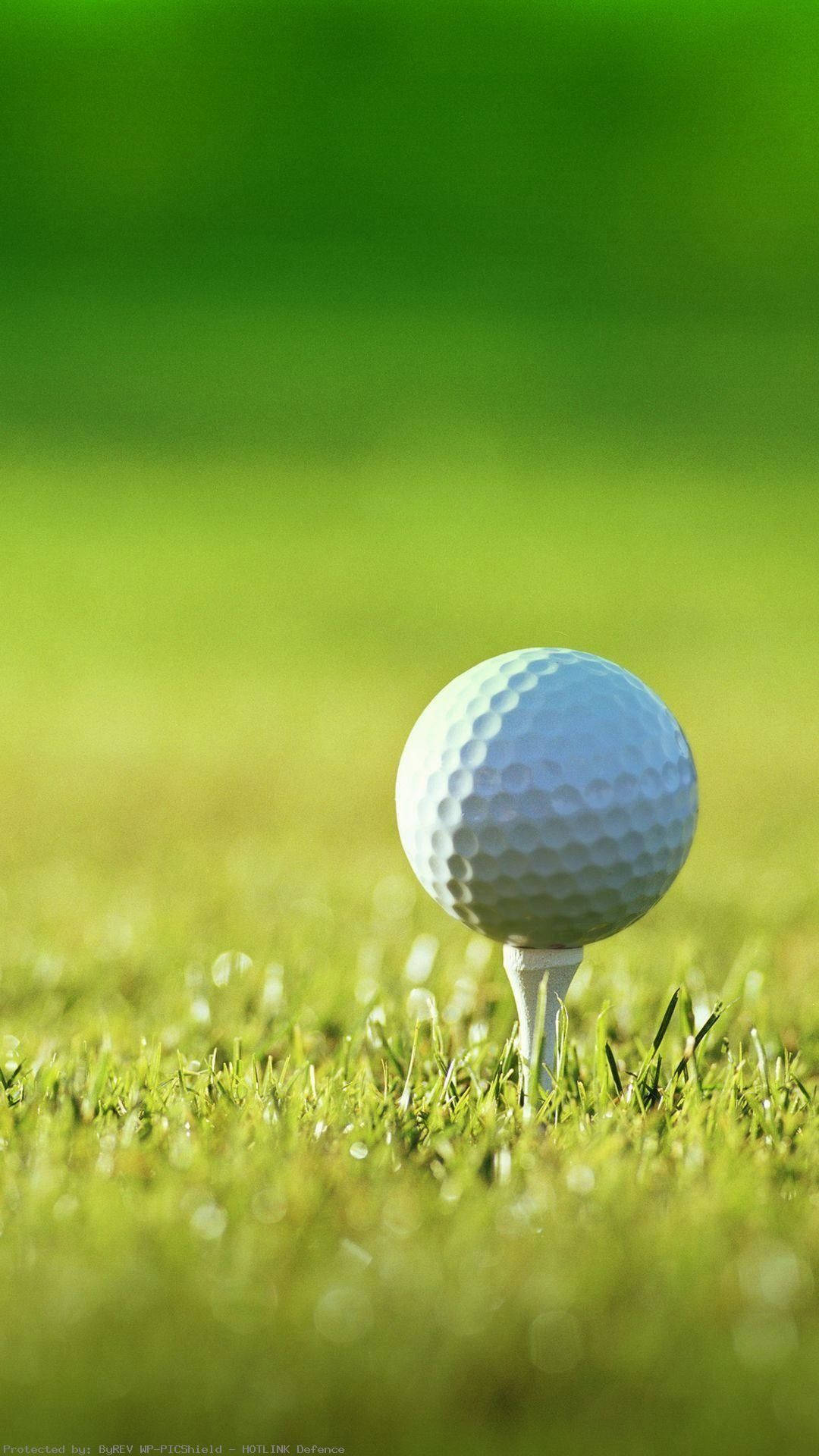 Sunny Day Golf Iphone Background