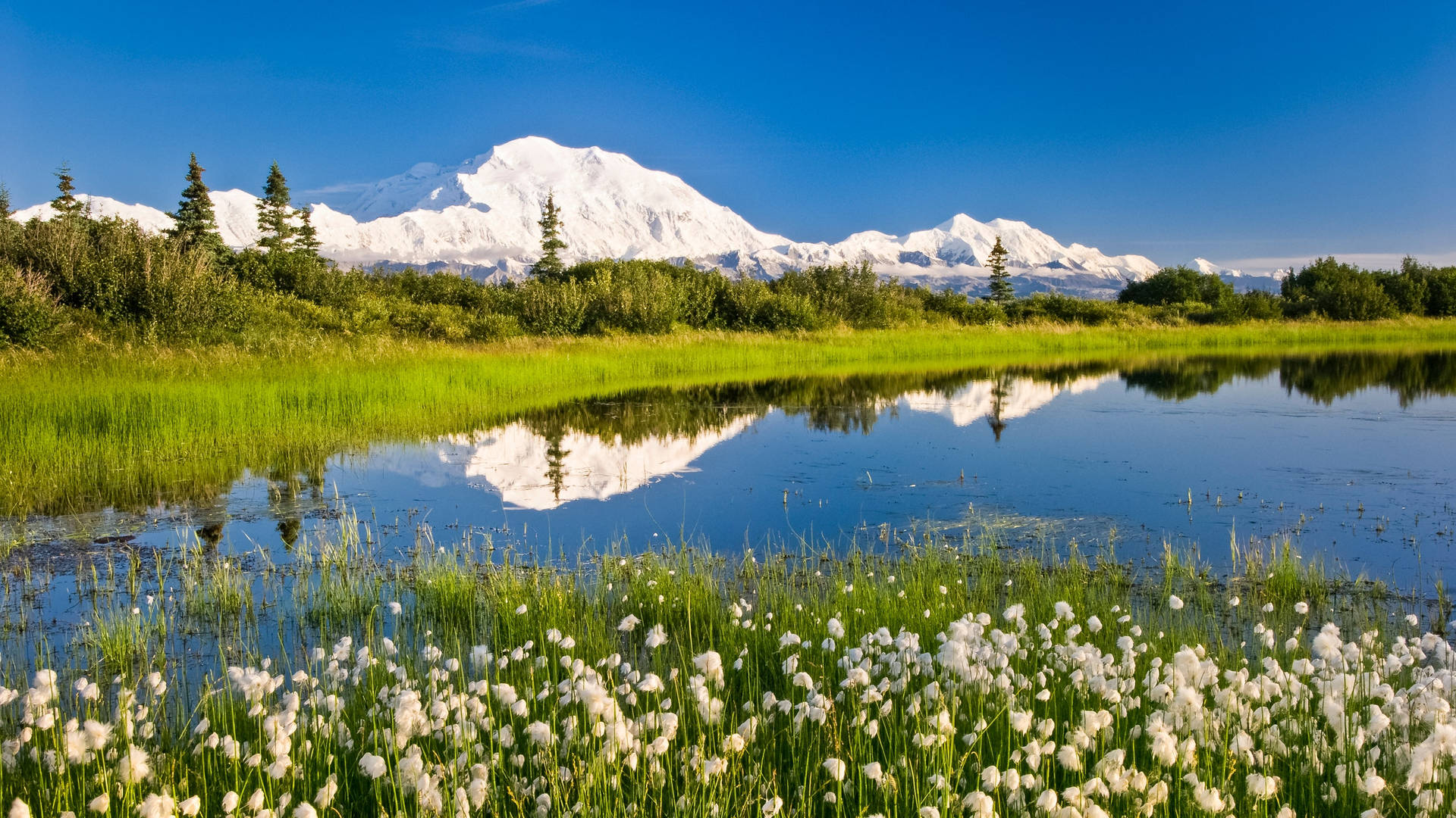 Sunny Day In Anchorage Background