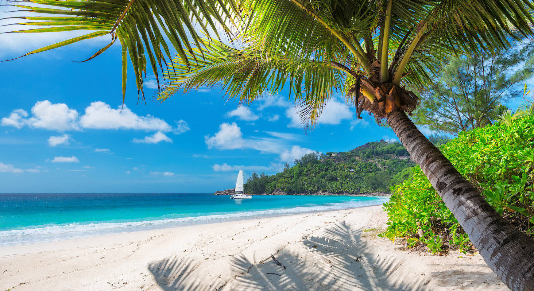 Sunny Day In Montego Bay Background