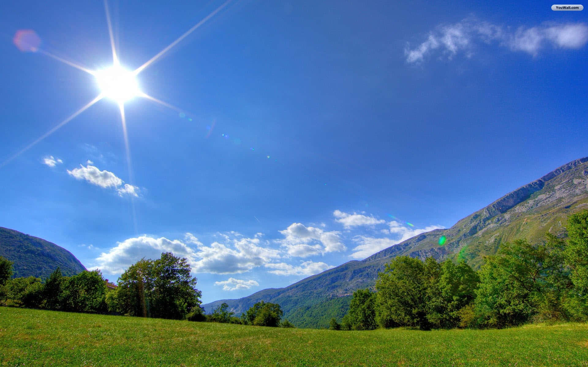 Sunny Day Mountains Green Field Background