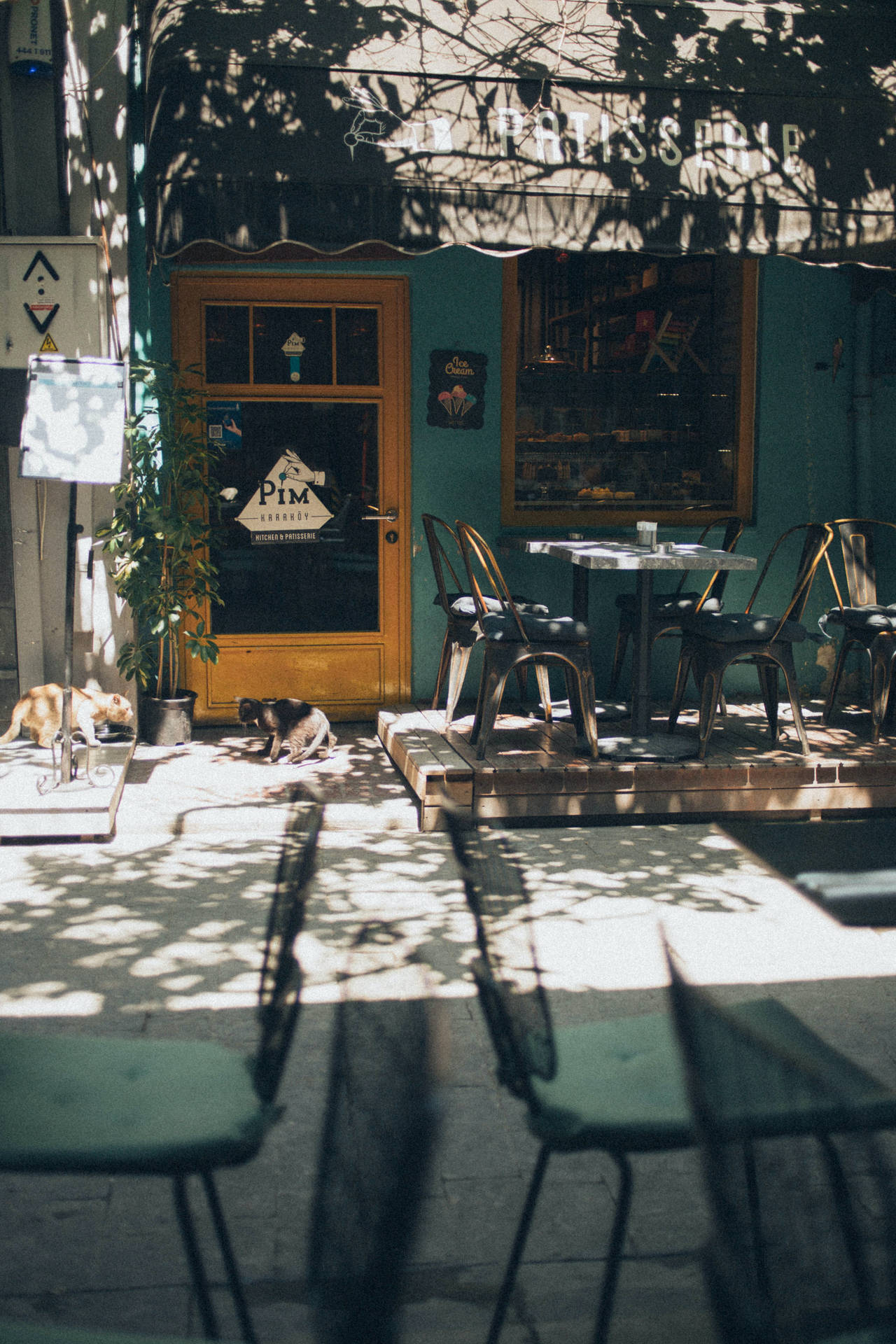 Sunny Day Outside Coffee Shop Background