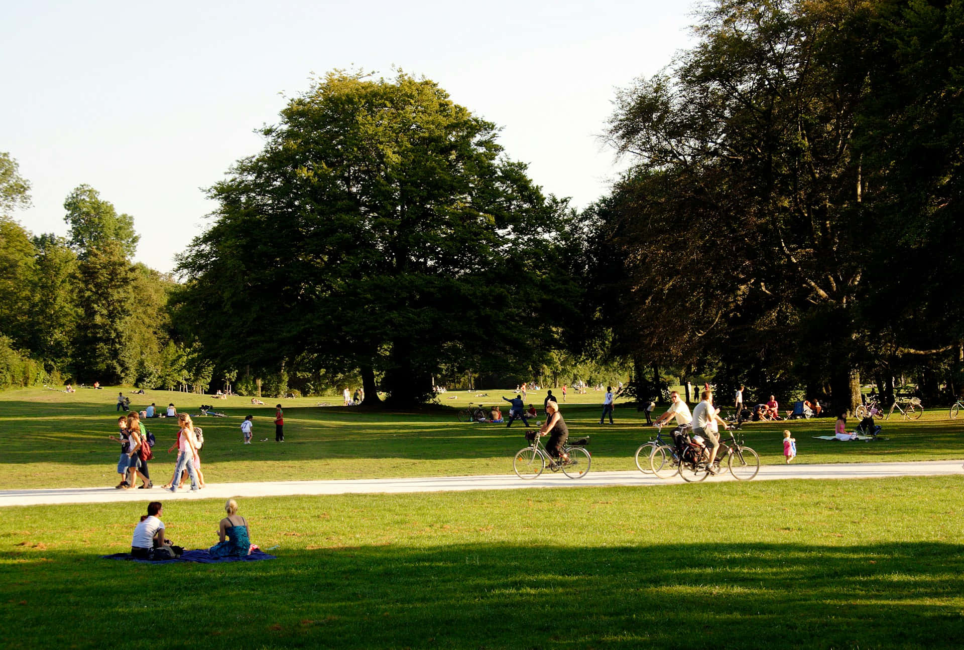 Sunny Day Park Picnic Scene.jpg Background