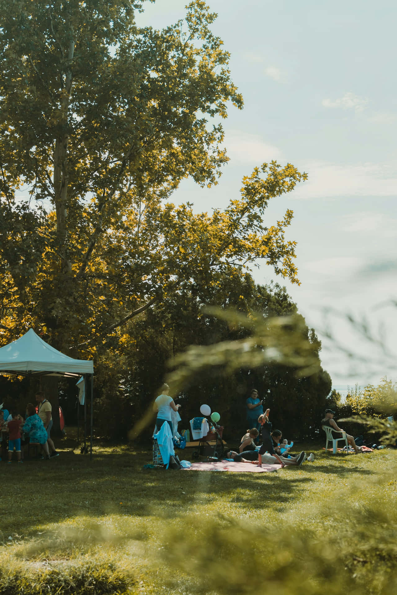 Sunny Day Picnic Gathering.jpg Background