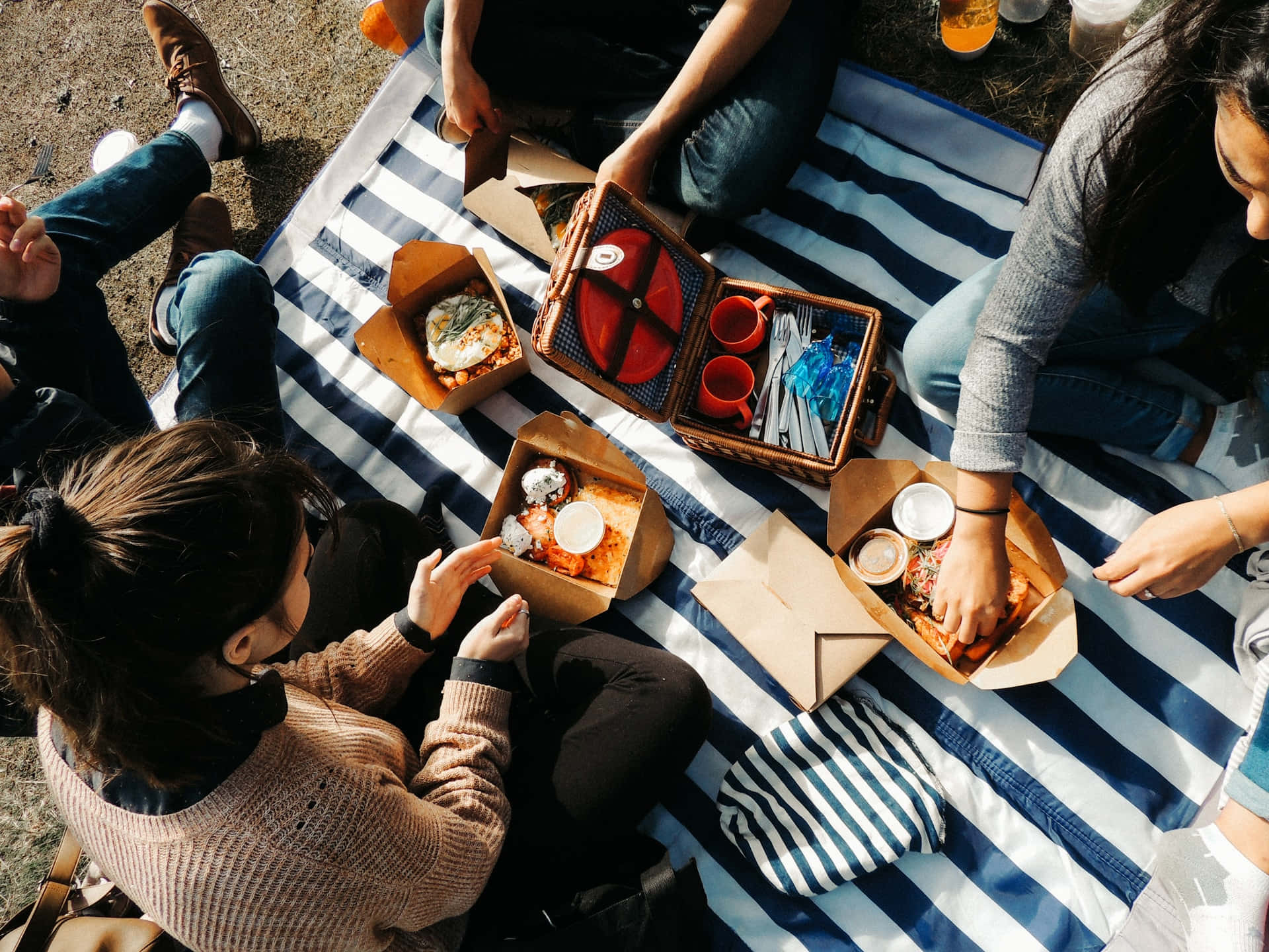 Sunny Day Picnic Gathering.jpg