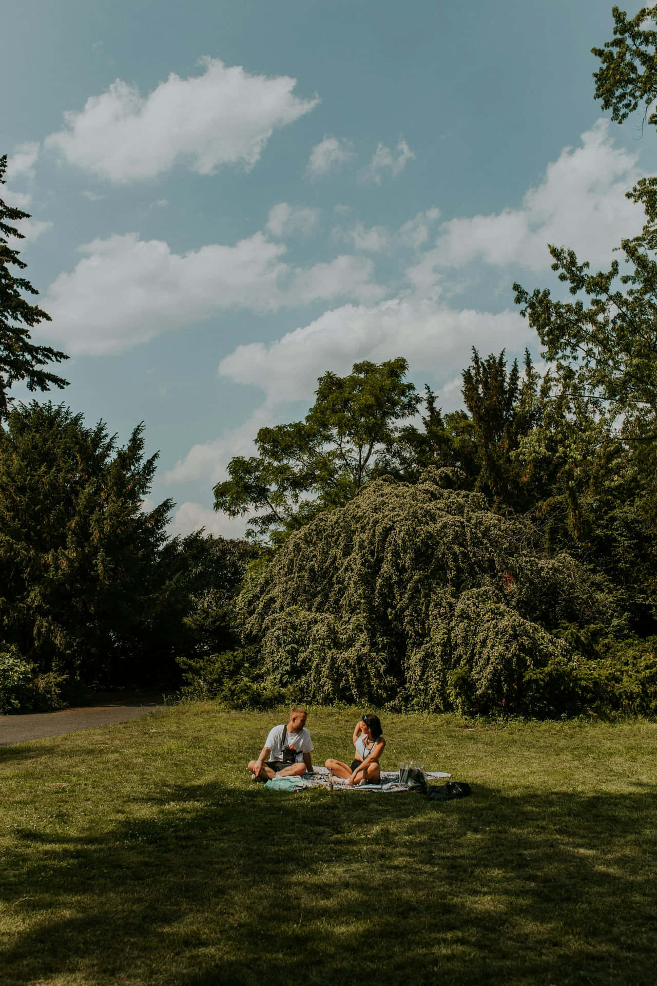 Sunny Day Picnicin Park Background