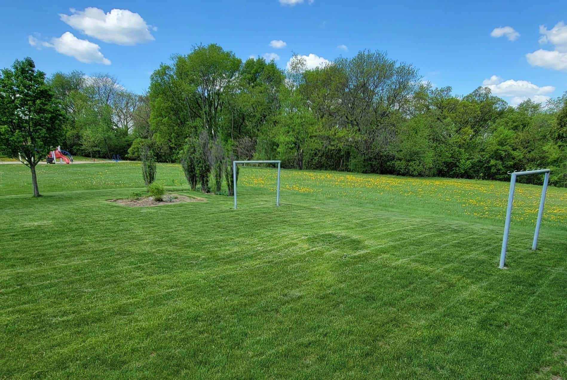 Sunny Dayat Community Park Soccer Field Background