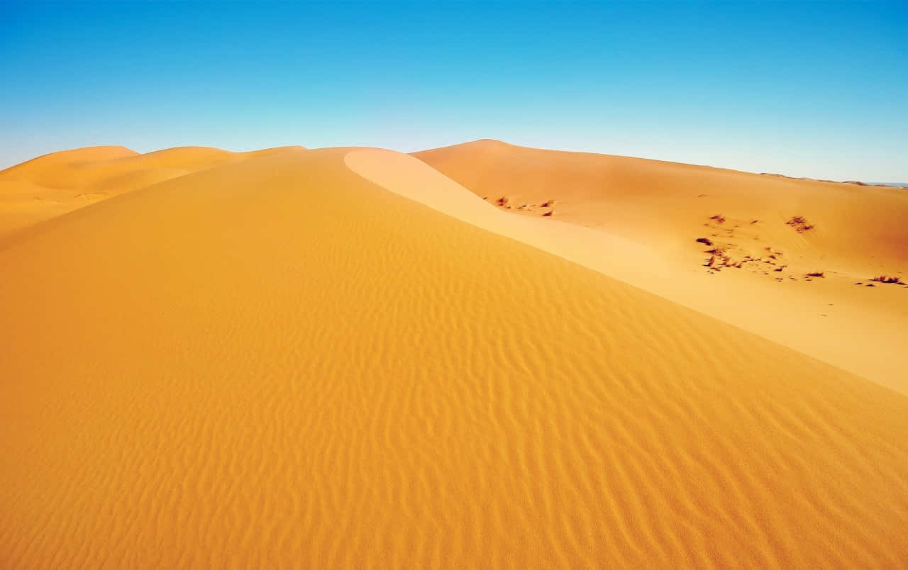 Sunny Desert Sand Background