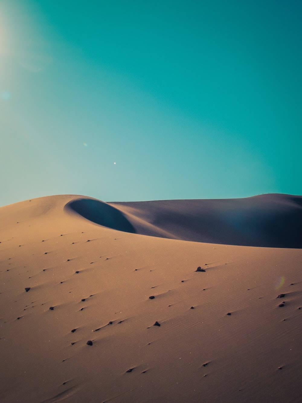 Sunny Desert Themes Background