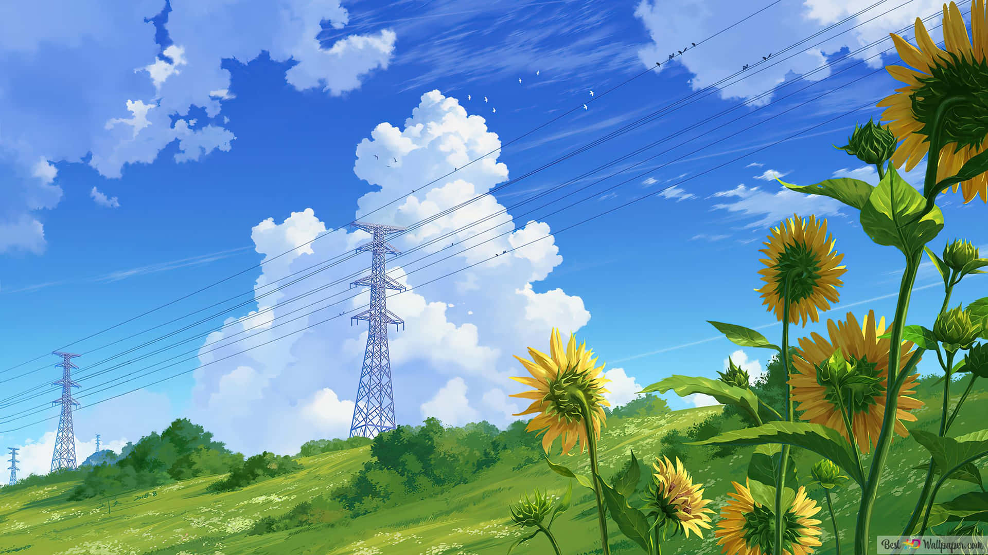 Sunny_ Field_with_ Sunflowers_and_ Powerlines_ Anime_ Scene Background