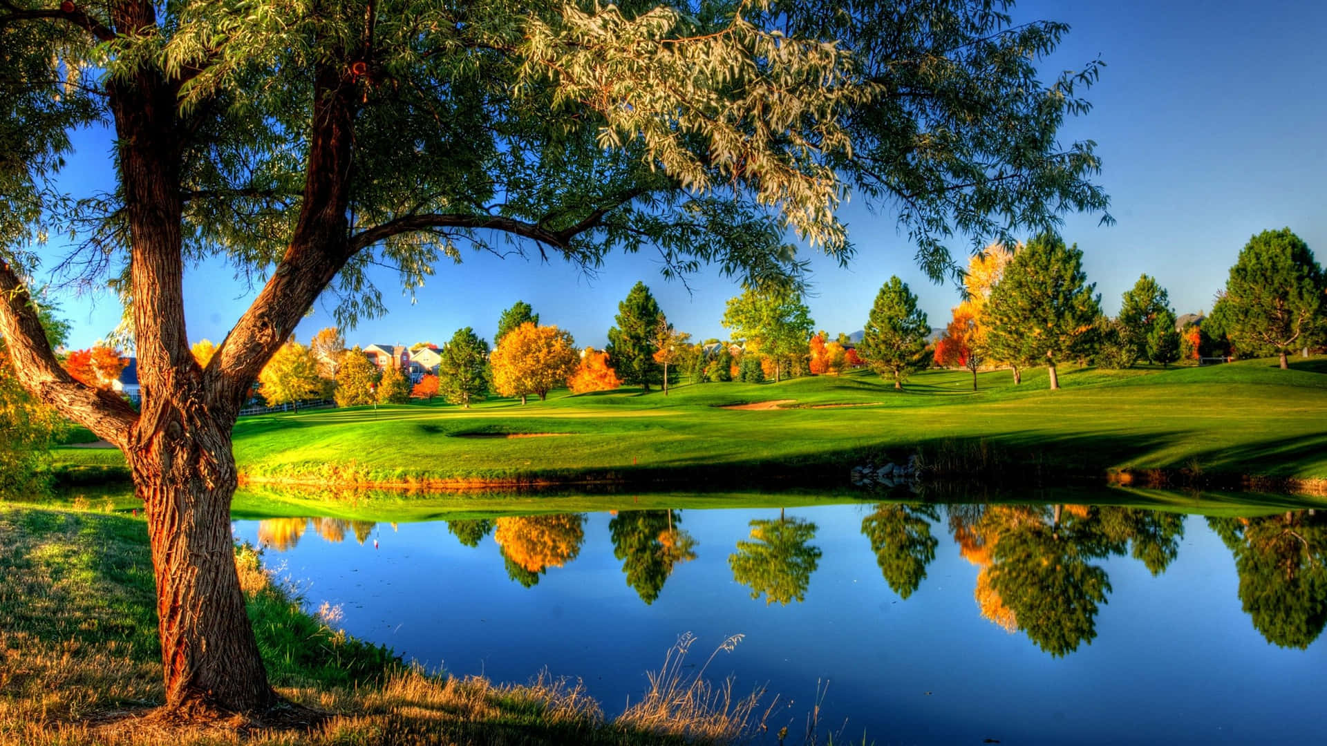 Sunny Golf Course Landscape