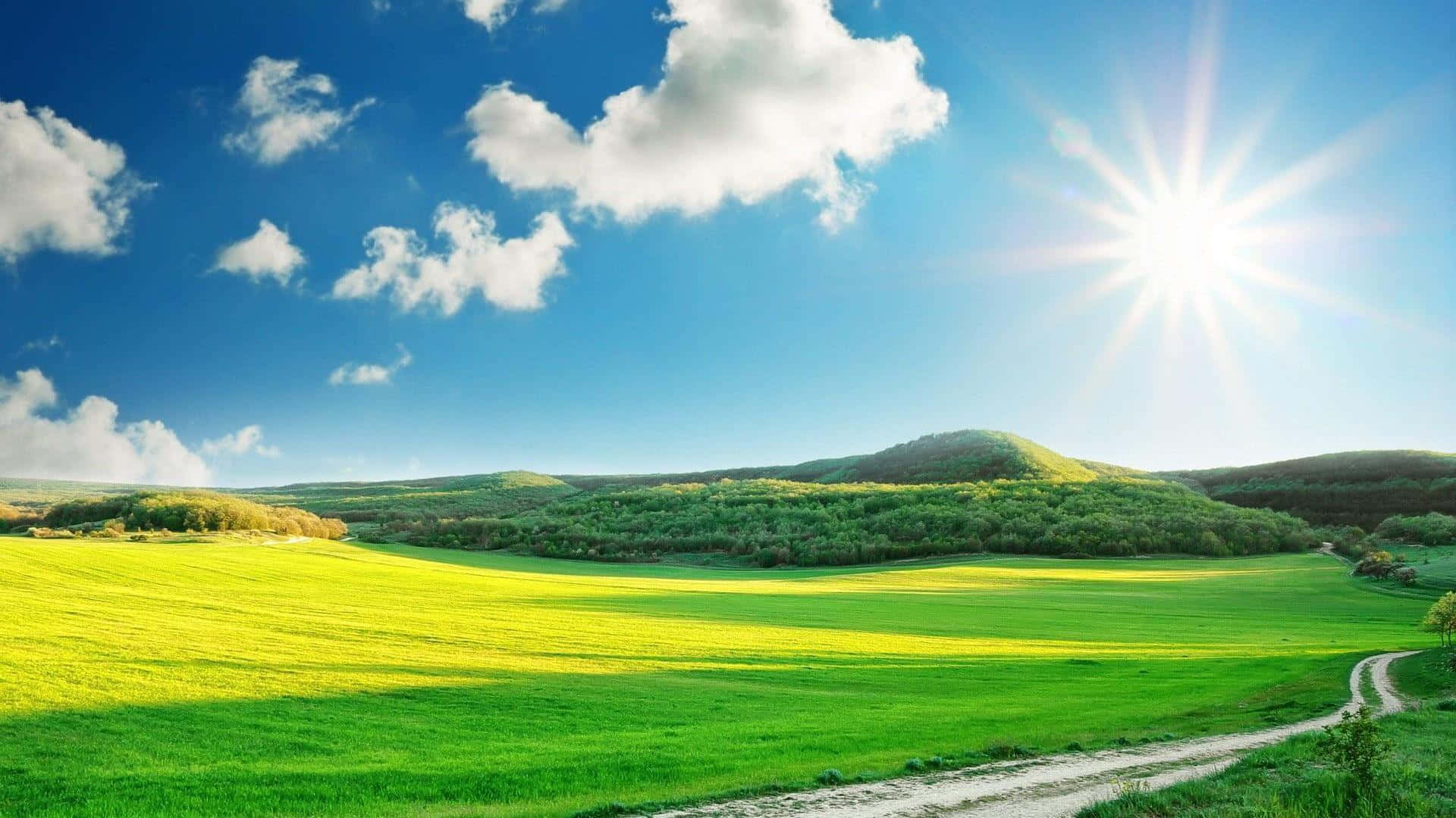 Sunny Green Landscape Scenery Background