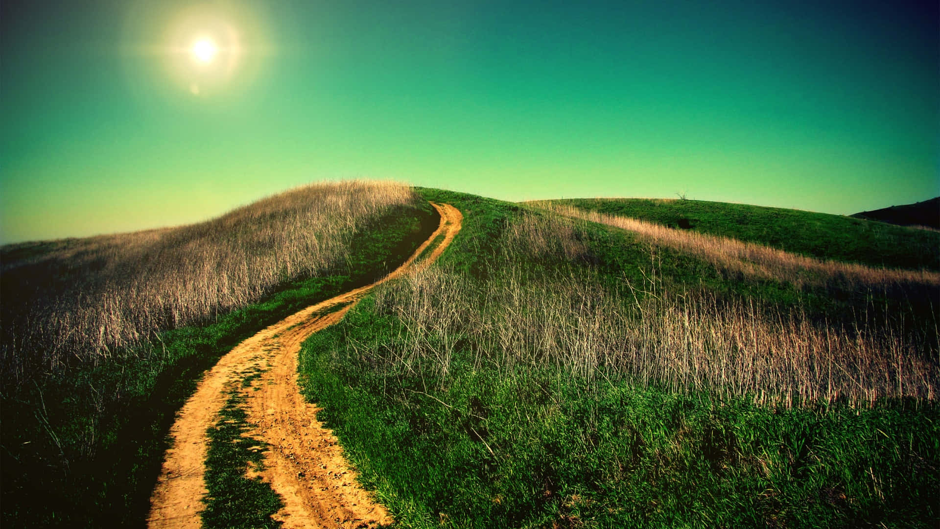 Sunny_ Hillside_ Trail.jpg Background