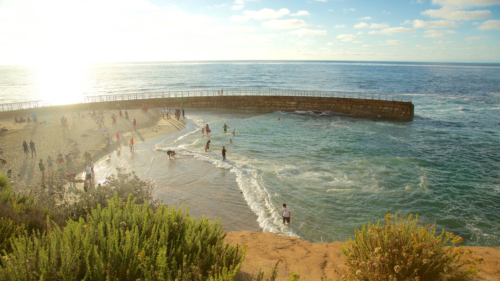 Sunny La Jolla Beach San Diego Background