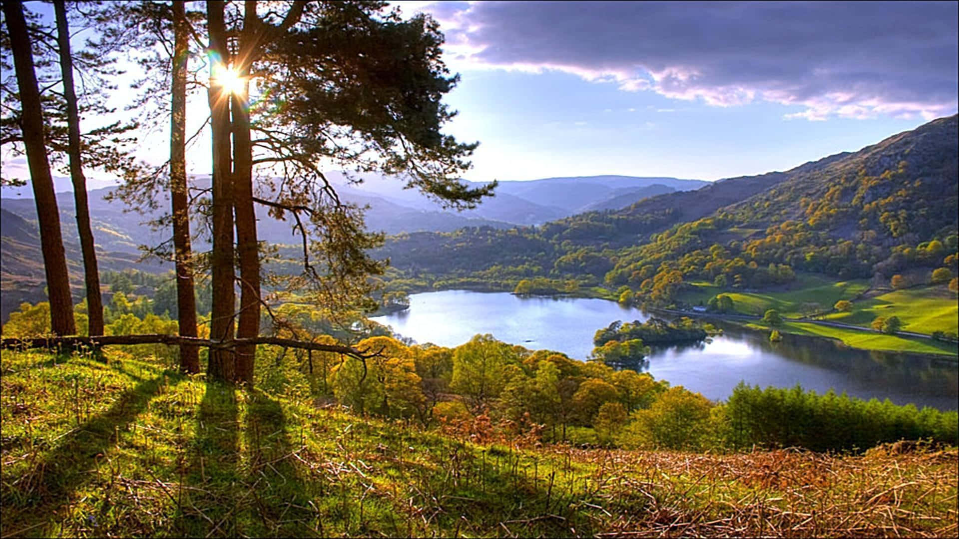 Sunny Lake View Background