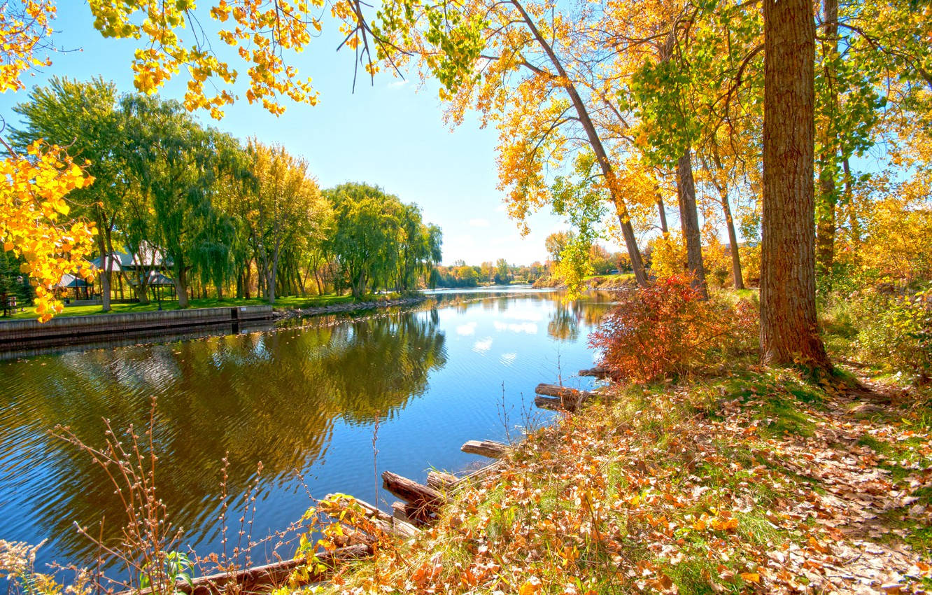 Sunny Morning At The Riverside Background