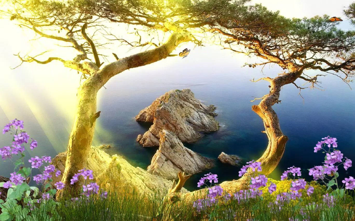 Sunny Nature Pretty Landscape Background