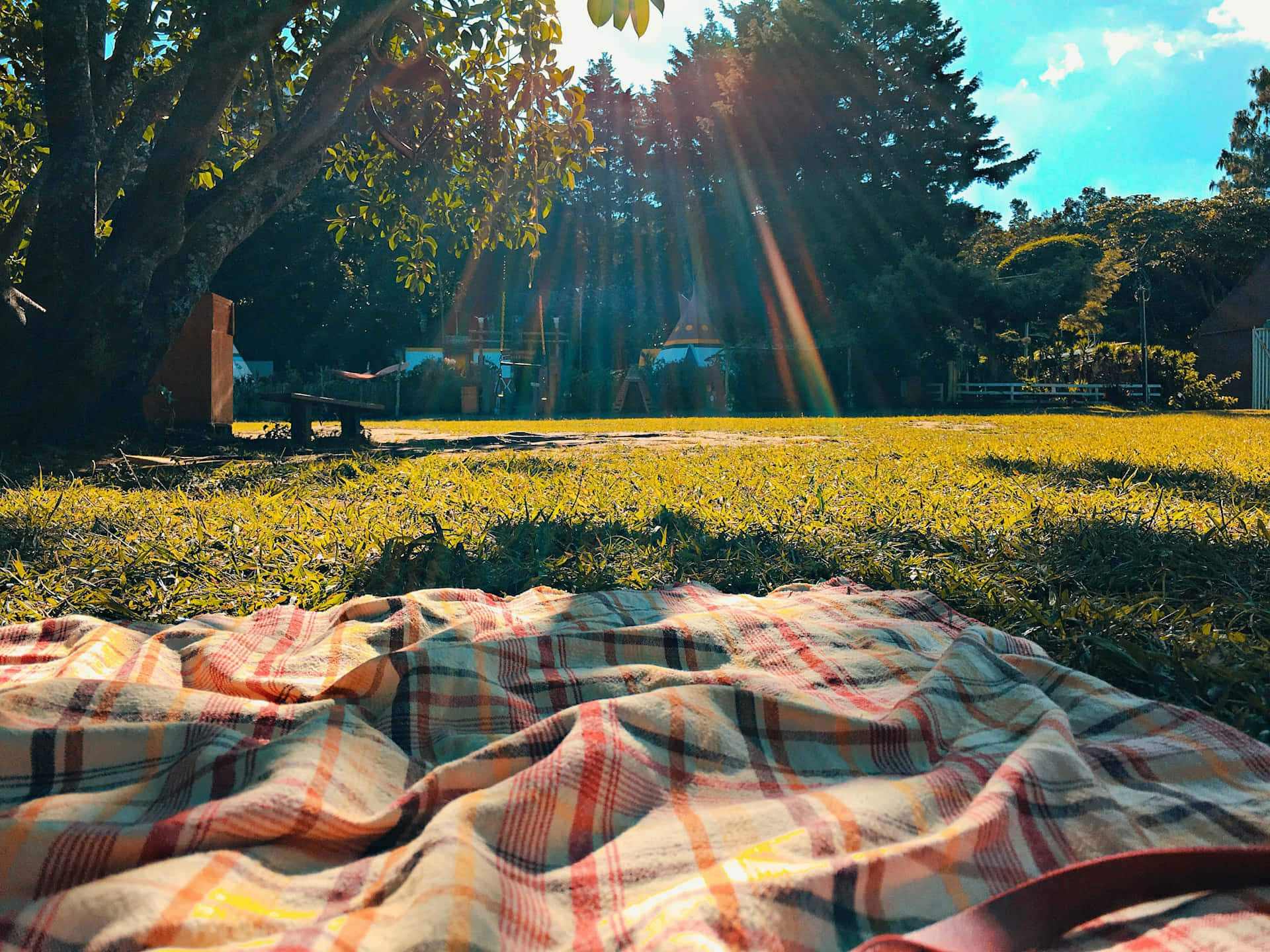 Sunny Picnic Blanket Park Scene Background