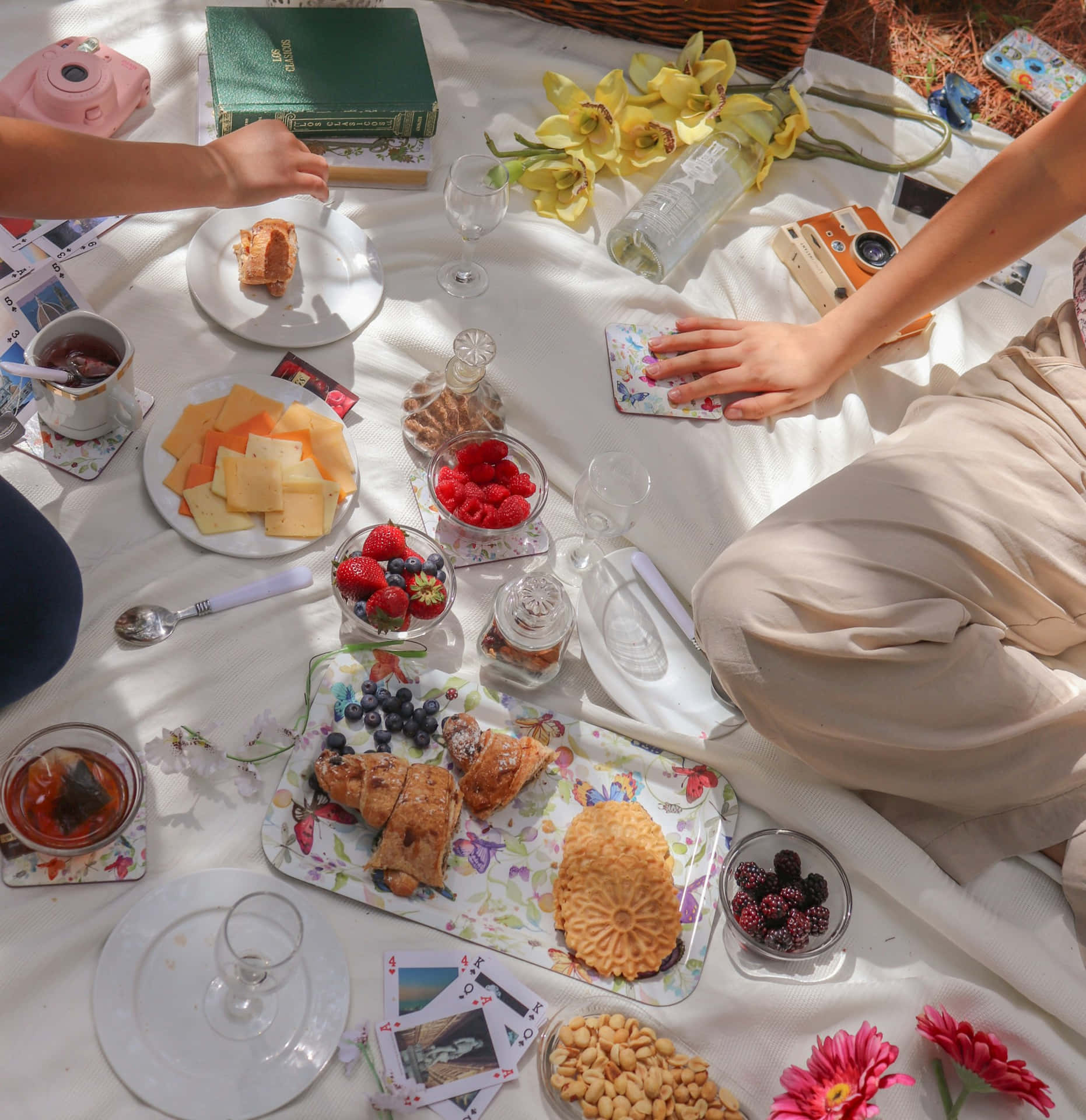 Sunny Picnic Spread.jpg Background