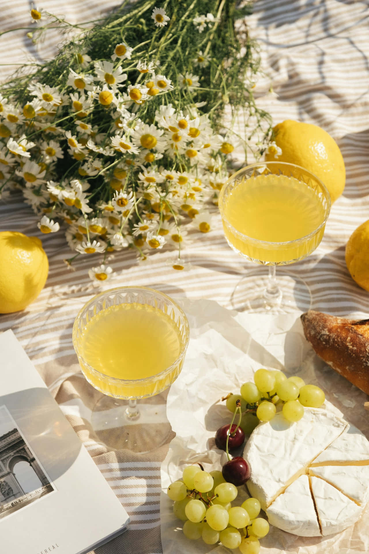 Sunny Picnic Spread.jpg Background