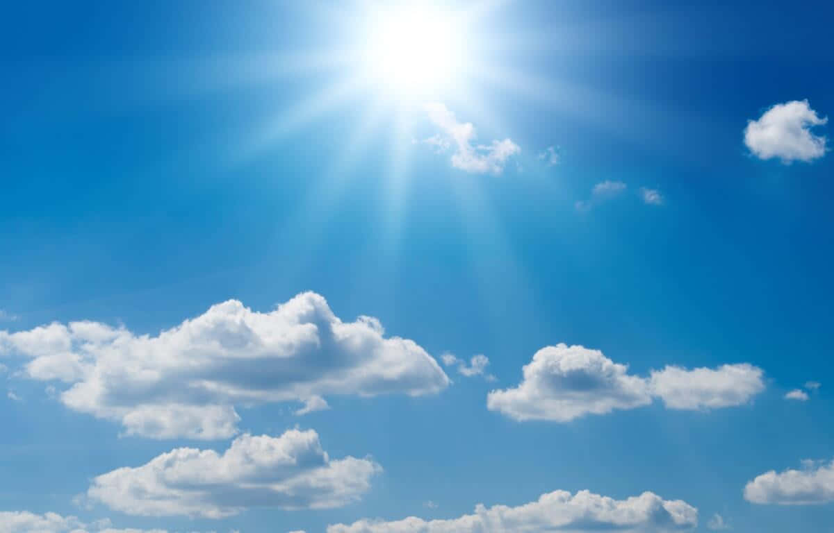 Sunny Rays During Summer Season Background