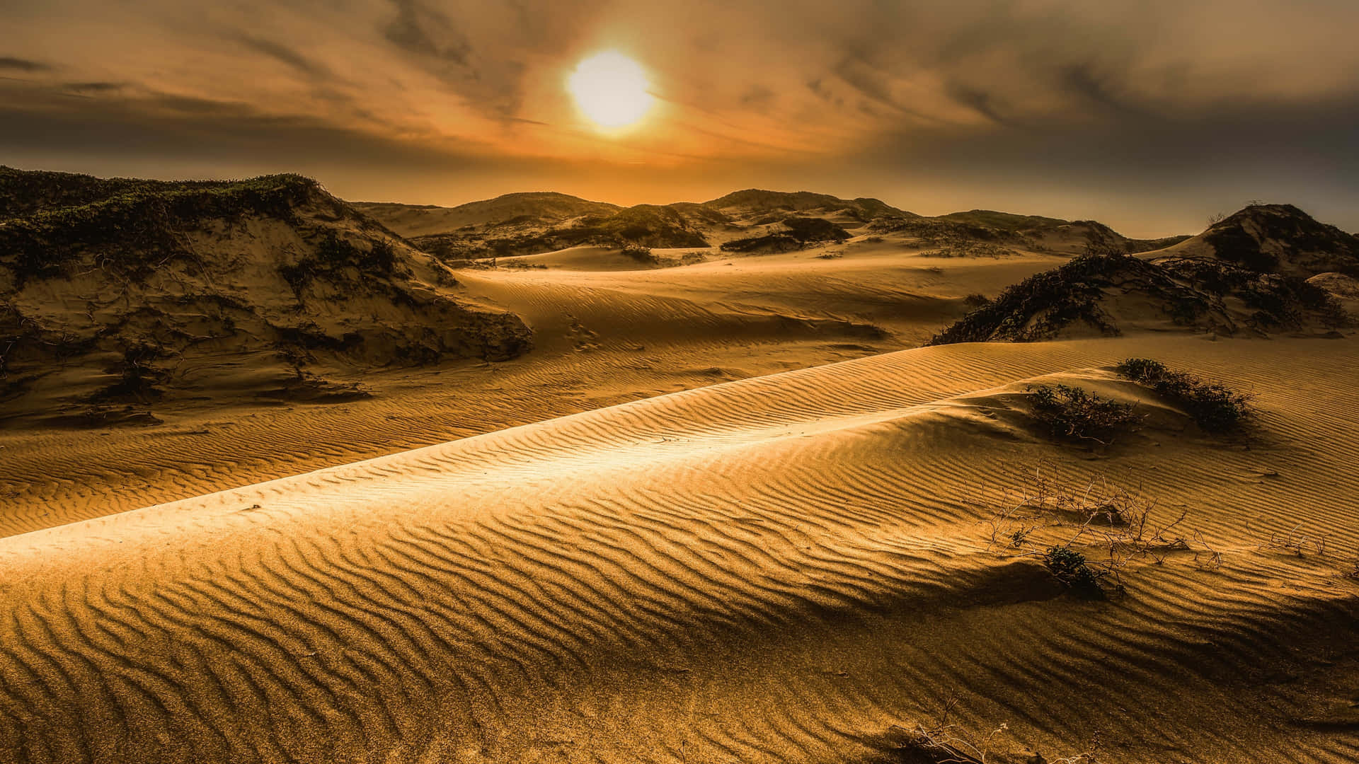 Sunny Sahara Desert Sand Background