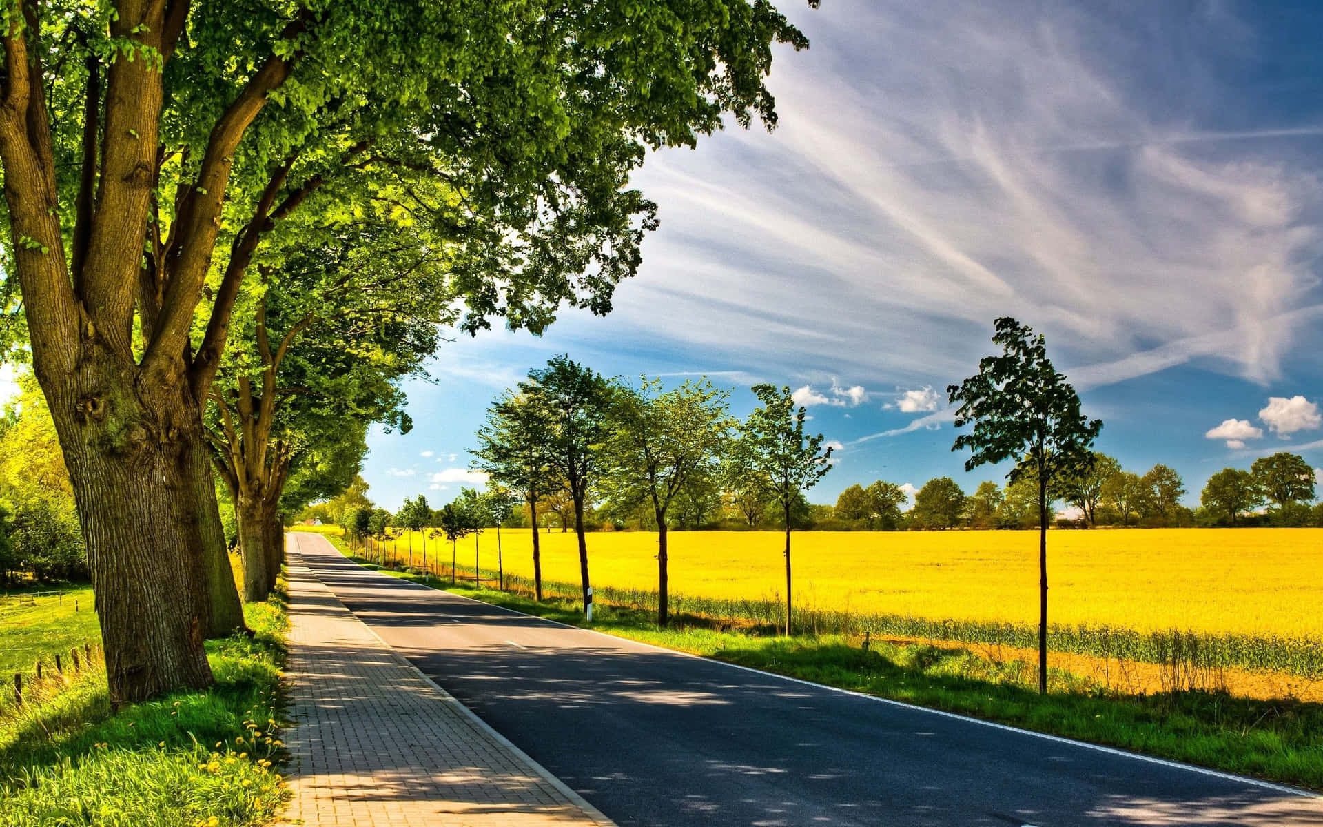 Sunny Summer Landscape Background